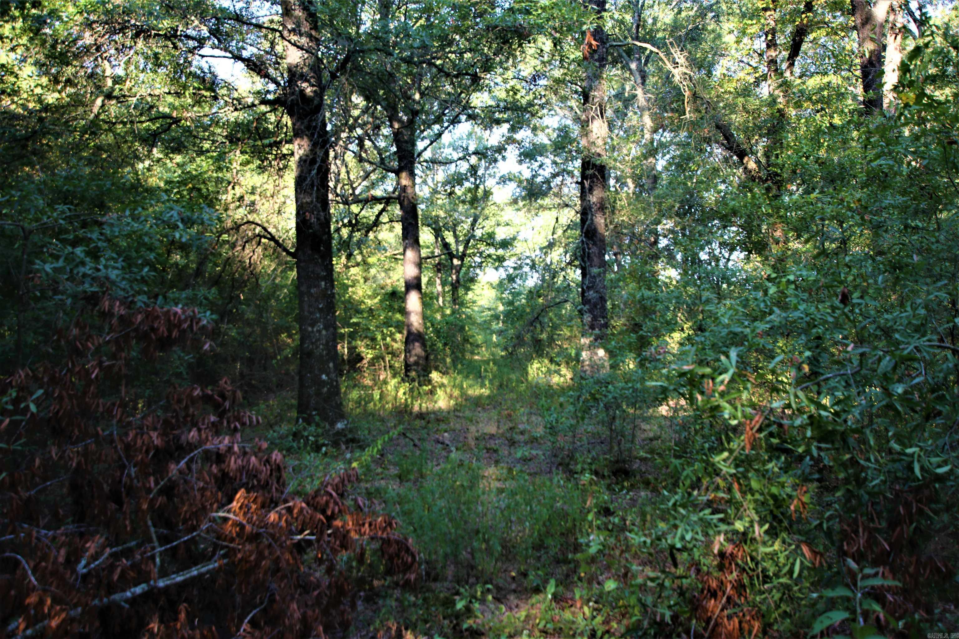 Not in Subdivision - Land