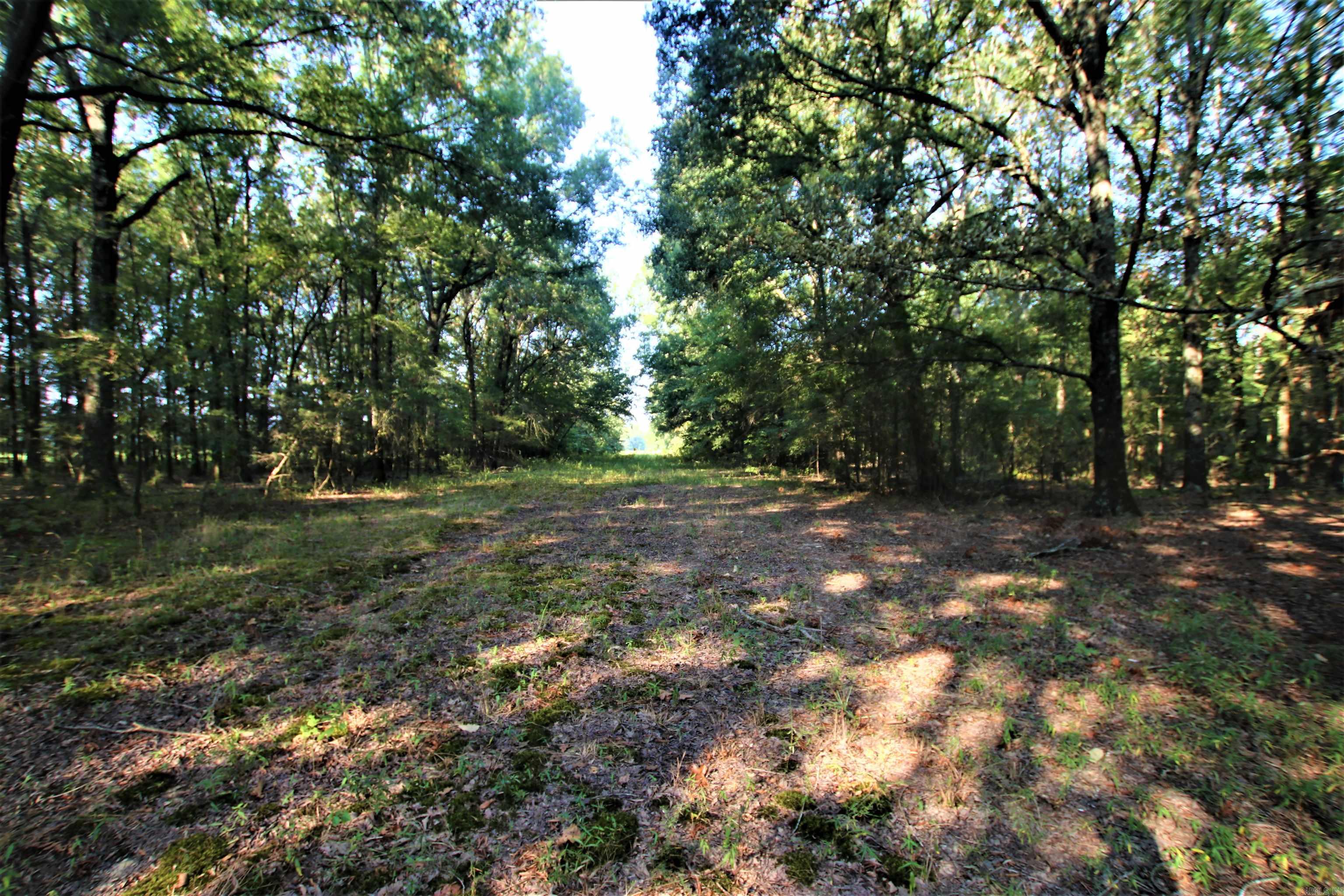 Not in Subdivision - Land