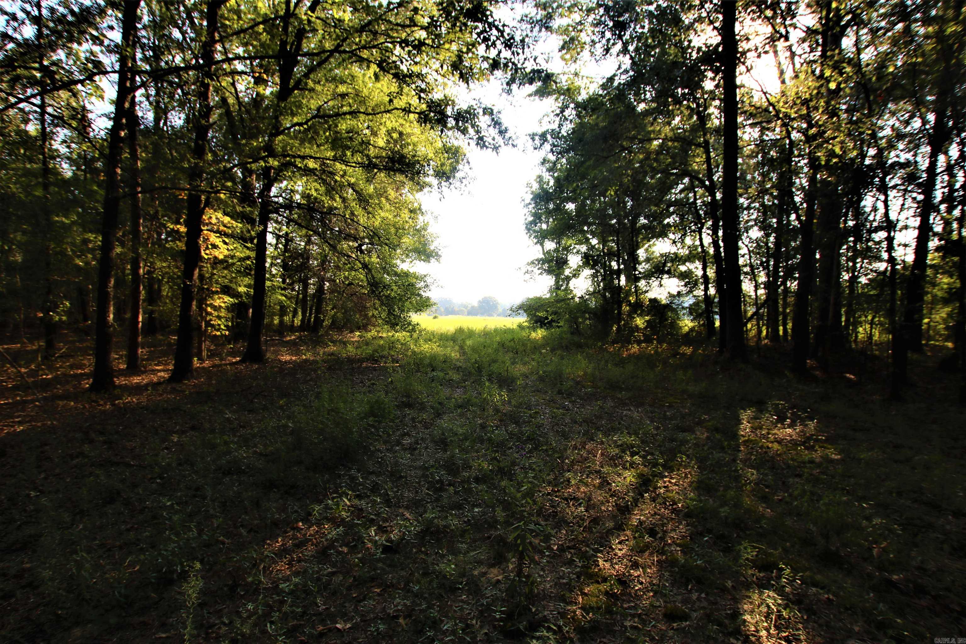 Not in Subdivision - Land