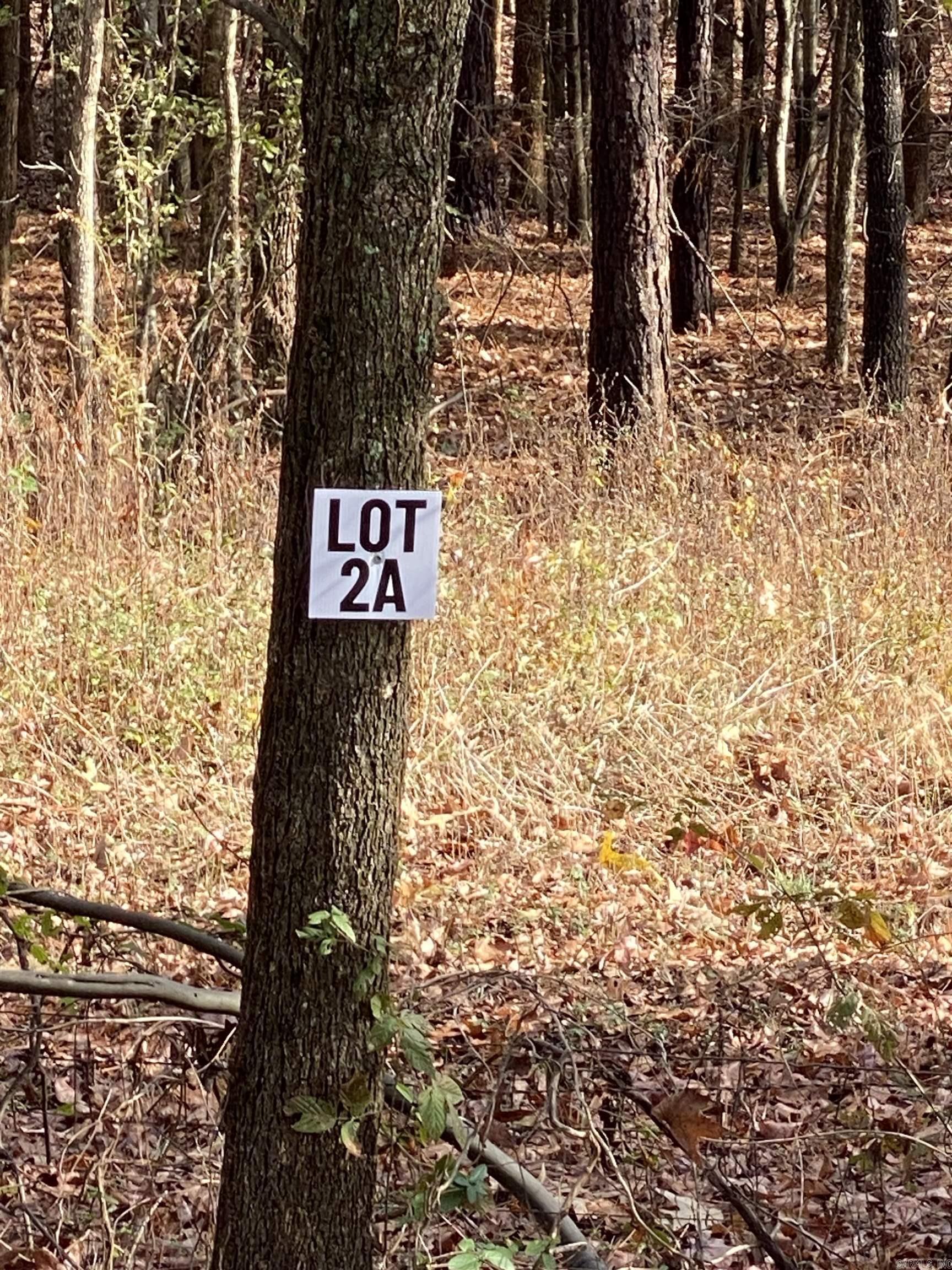 Lot 2A is an approx 10-Acre lot located within Tract A. Tract A begins at the Corner of Forbus and Hwy 89. Onsite is a larger sign showing the lot layout. Acreage is wooded and fronts Hwy 89. Lot 2A is 1 of 4 lots available for purchase in Tract A. Grand Prairie Water and First Electric at Road. Fantastic opportunity for a spacious home place, duplexes, triplexes, and/or quadplexes. Take a drive out to see this lot or the other lots listed. See Agent Remarks.