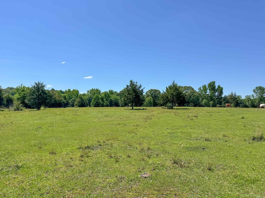 Nice, clear pasture with no restrictions and several good building sites. This property is in a great location, with an easy drive to Greenbrier and Conway, but still within the Faulkner County portion of the Quitman School District. If you are looking for the space and freedom that comes with life out in the country, this is the perfect spot for you. This property can also be purchased in half, if desired (as a 4-acre tract instead of 8 acres). With no restrictions you can build, bring in a mobile home, have livestock, a garden -- the choice is yours. Please do not enter any part of the property unless you have an appointment and are accompanied by your real estate agent. No entry is allowed without permission.