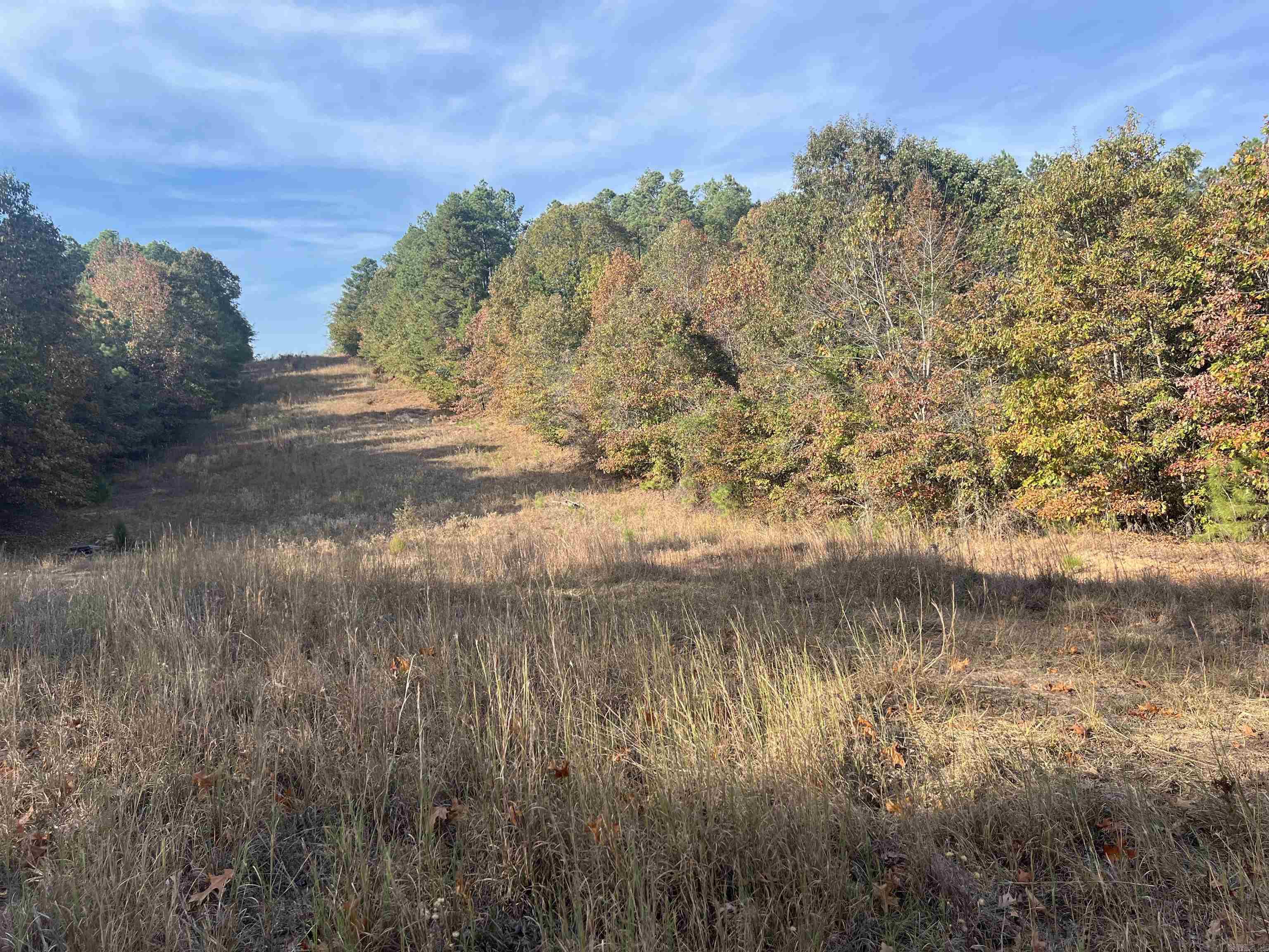 Prime 10.61 ± acre tract located along Hwy 270 in Malvern, AR, just 2.5 miles from I-30. This property features highway frontage and easy access, offering a range of possibilities for residential, commercial, or investment purposes. With a mostly level landscape and some mature trees, it provides a serene setting while being close to major highways for convenience. A fantastic opportunity for those seeking a versatile parcel in a growing area!