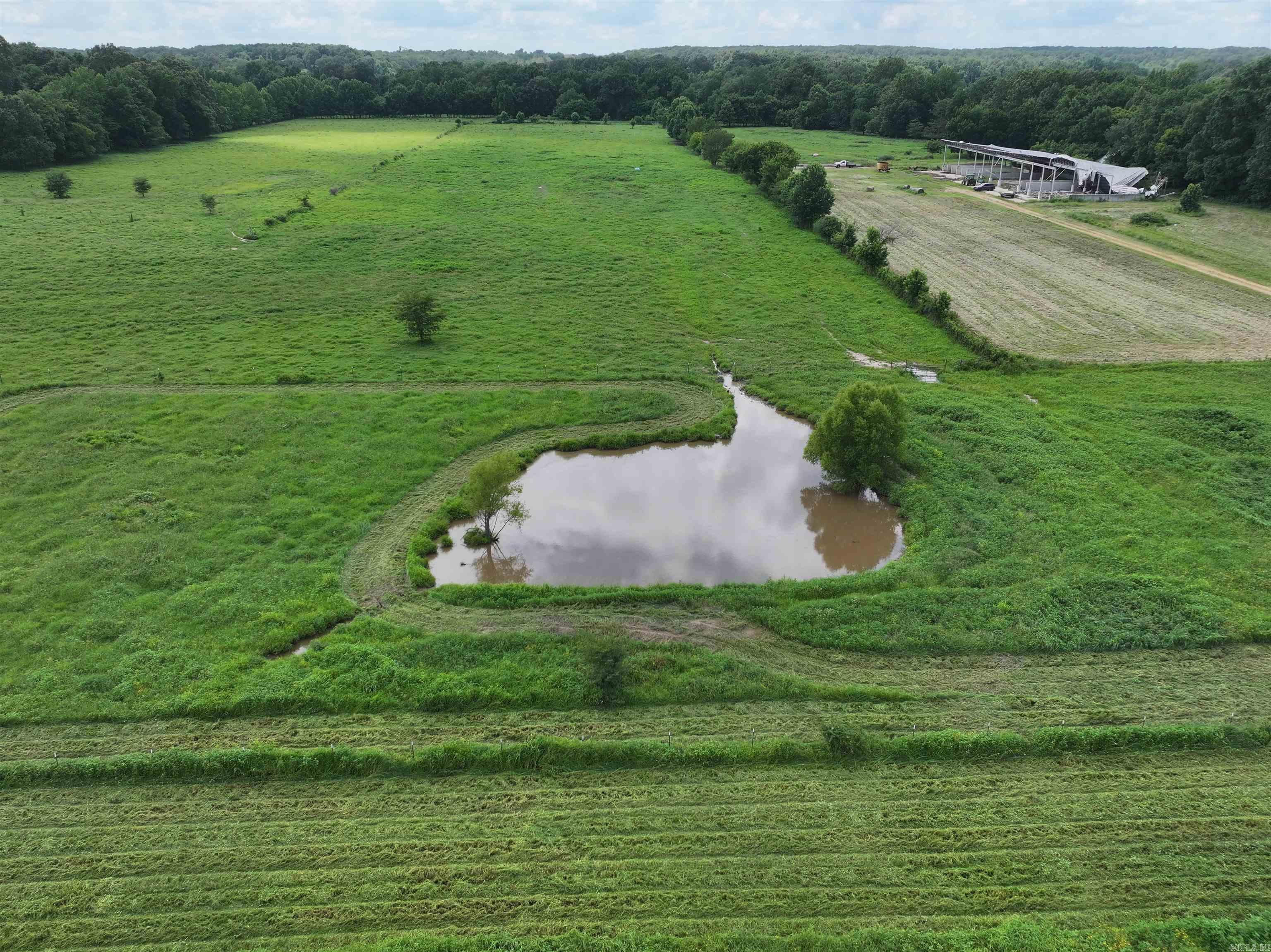 Discover 80 acres of exceptional land nestled on the beautiful Crowley's Ridge, perfectly situated between Harrisburg and Jonesboro, Arkansas. This stunning property offers a unique blend of pastureland, opportunities for livestock, abundant wildlife, and a tranquil pond true haven for outdoor enthusiasts and those seeking a peaceful country lifestyle.