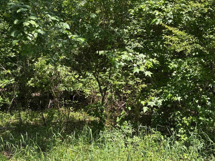 10 Acres in Pulaski County – Your Private Retreat! Own your own piece of Pulaski County! This 10-acre property offers the freedom to live how you want — no restrictions. Featuring a creek, partial fencing, and plenty of open space, it's perfect for recreation, farming, or building your dream home.  Whether you’re looking for a weekend getaway or a full-time homestead, this land gives you the space and privacy to make it your own.    *  This is in the Jacksonville / North Pulaski County School District *   7 miles to the Little Rock Air Force Base *   20 minutes to downtown Little Rock *   Public utilities (water, 1st Electric, cable) *   Extremely private at the end of a quiet cul-de-sac  *   Easily accessible to Jacksonville or Cabot *   Secluded, but not isolated