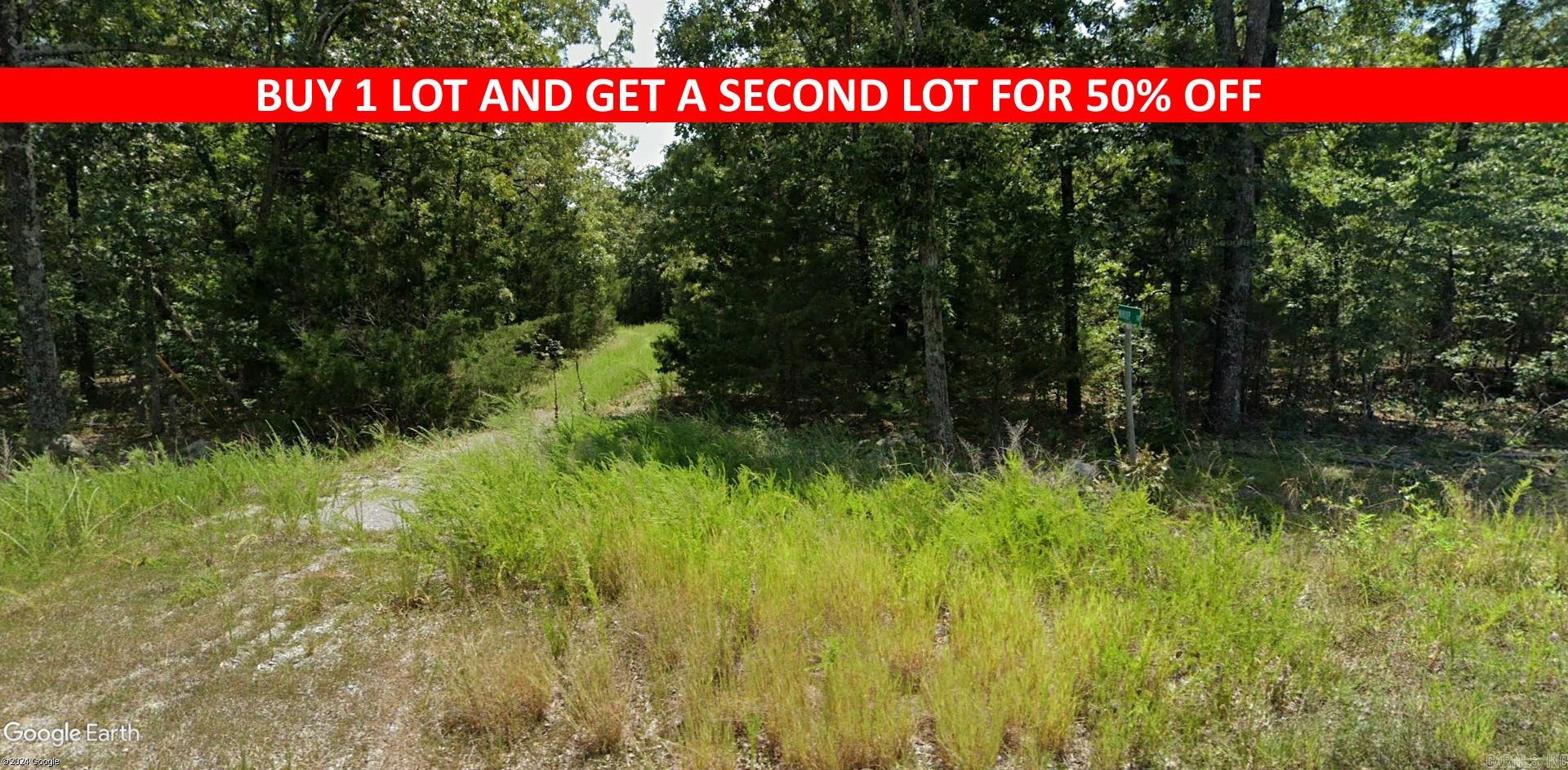 Buy one lot and get 50% off an additional lot! Owner-finance for easy terms. Cash buyers can pay by debit or credit card as well. Nice lot to develop or hold for future value. Public water and electric are available to run to property and will need septic. Owner/agent. Finance is 5 months at $194 and closing costs are included. Lots marked with red banner are part of promotion. No limit on lots. Buyer responsible for any/all taxes and lots sold "as-is". Quit claim deed conveys. Parcel ID# 405-21513-000