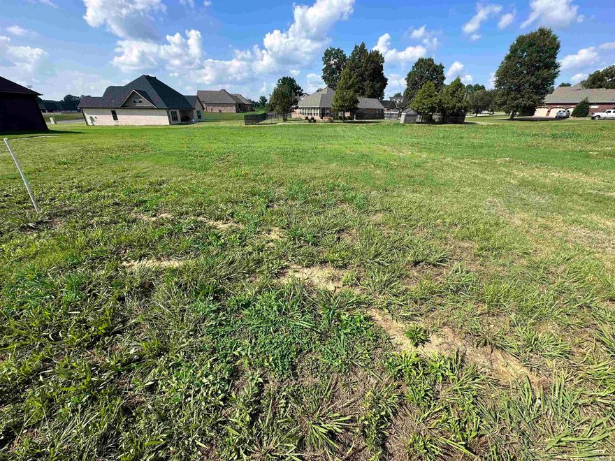 Looking to Build?? This property is located in Silo Ridge Subdivision West of town off Pruetts Chapel Road backing up to Park Ridge Subdivision. This newer subdivision features beautiful homes and yours could be next!! CALL FOR ADDITIONAL INFORMATION!!