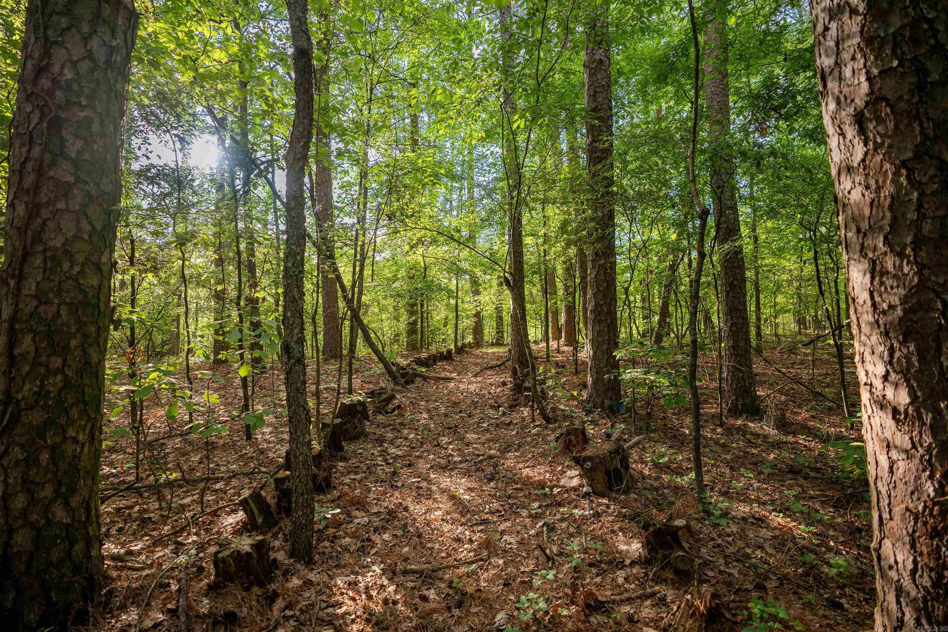 TABLEROCK ESTATES - LAKE - Residential
