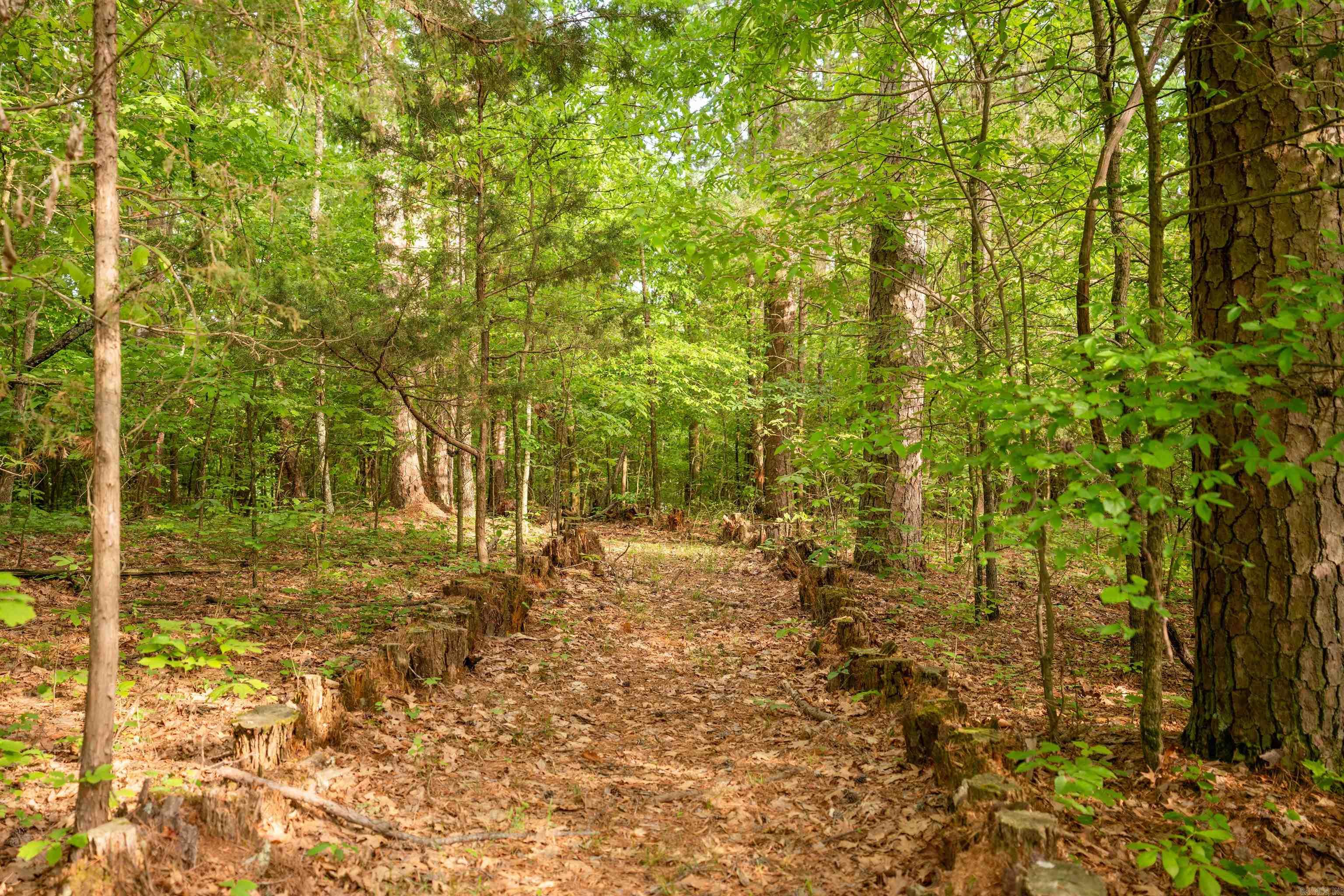 TABLEROCK ESTATES - LAKE - Residential