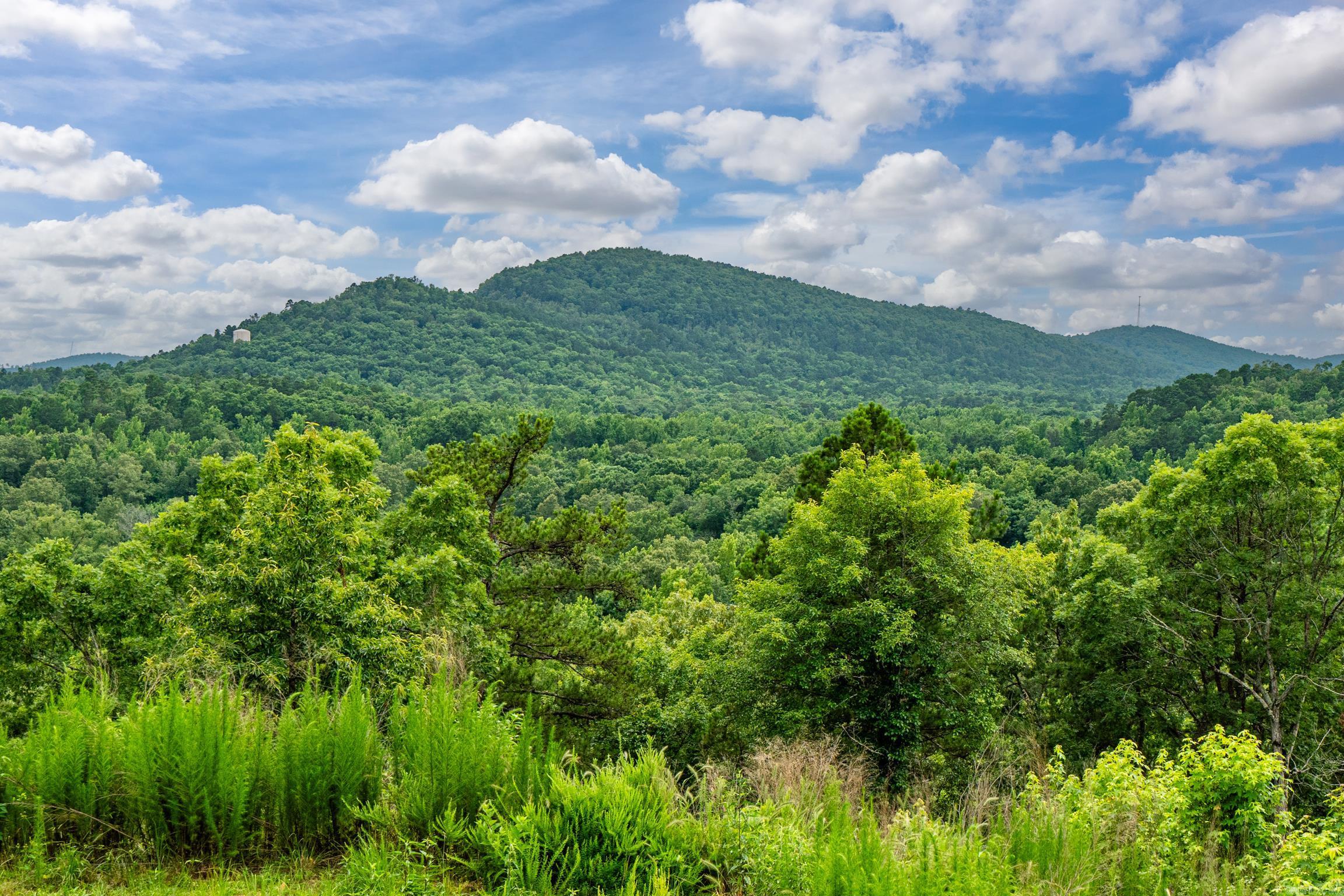 UNPLATTED ACREAGE - Residential