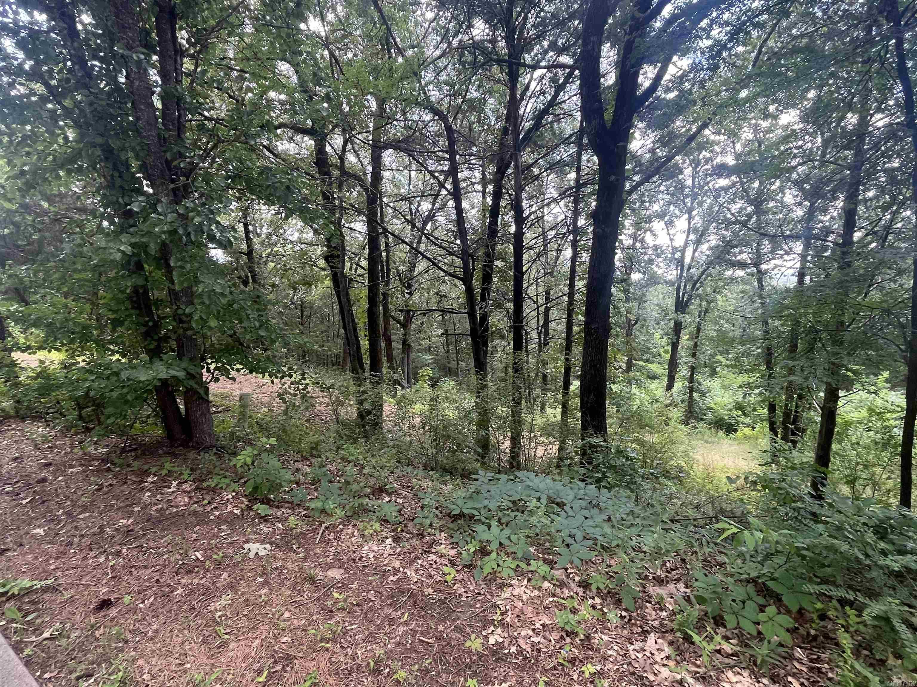 Beautiful sloped 1-acre lot in the highly desirable Nob Hill Subdivision. This partially cleared property is located inside the city limits and offers stunning views as it backs up to the golf course. Perfect for a custom home with walkout basement potential. Lots of trees with a ton of shade available. Convenient access to all the city has to offer! Do not follow GPS directions