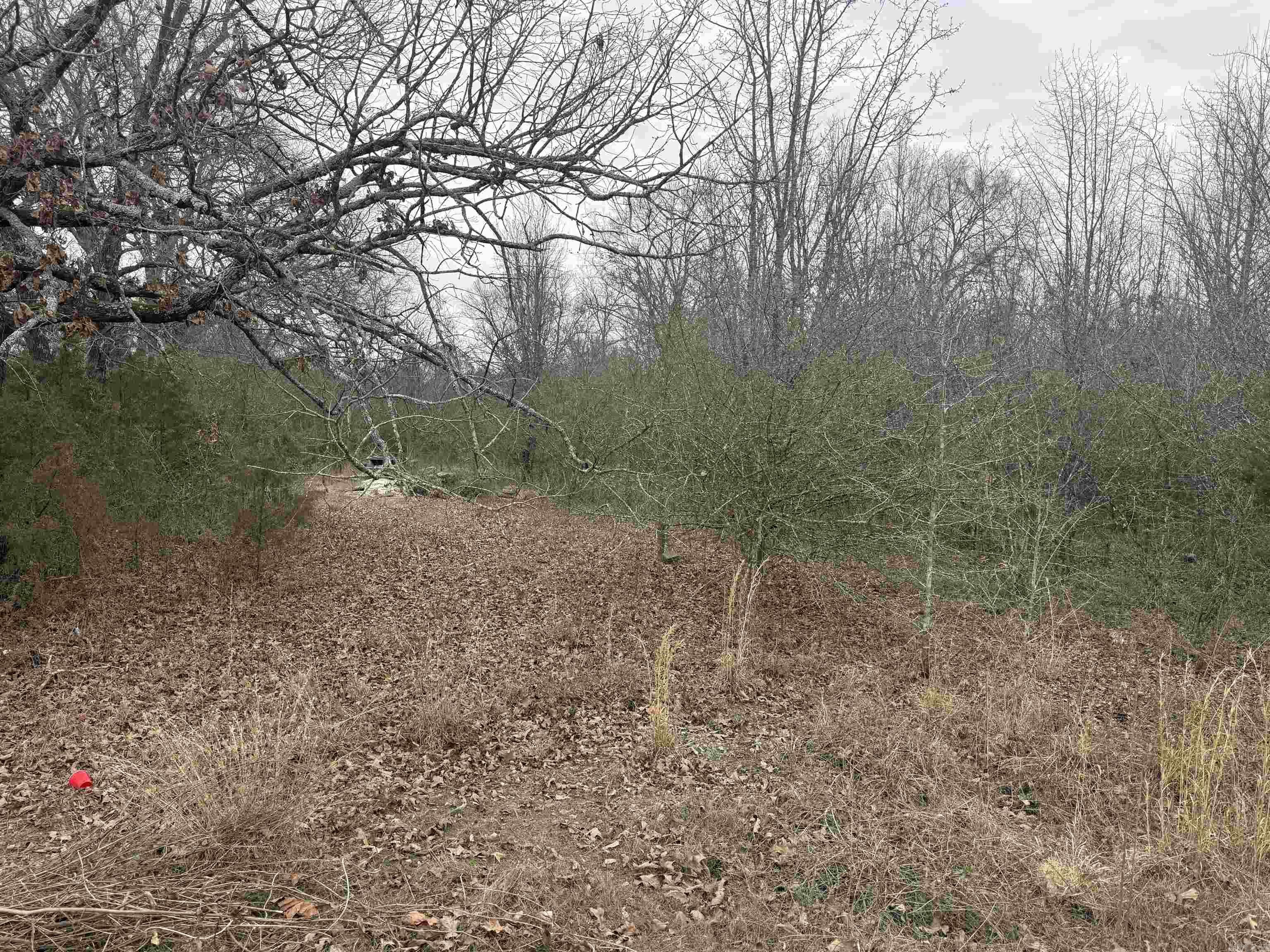 Earls Lakeside - Land