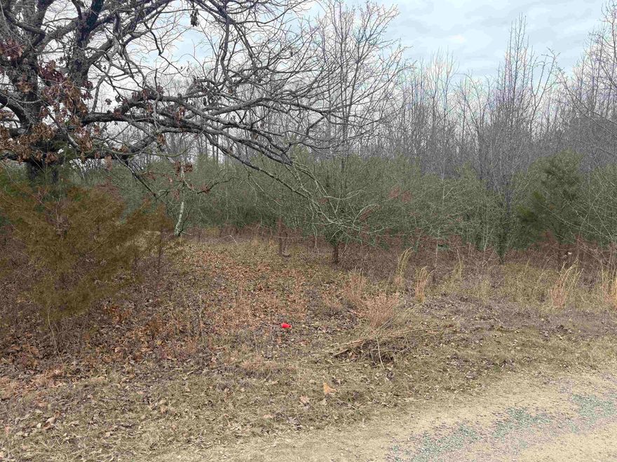 Build Your Dream Home on This Spacious ½-Acre Lot in Conway! Welcome to this exceptional ½-acre residential vacant lot located on Black Road, offering paved road frontage and easy access in a desirable Conway neighborhood. The property is well-situated with city water available nearby and utilities nearby, making it ideal for your custom build. Enjoy the best of Arkansas living—just minutes from Lake Conway, perfect for boating, fishing, and outdoor recreation. With its convenient location close to local services, schools, and shopping, this lot presents a rare opportunity to create your perfect home site. Don’t miss your chance to secure this great parcel in a growing area!