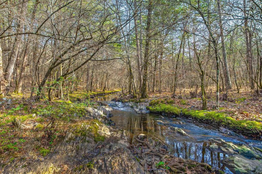 A patch of paradise in the Ouachita mountains just east of Mena, Ar! This property is mostly wooded. It has Boggy Creek running through it, as well as, smaller creeks that are spring fed. There are numerous ridges with mountain views perfect for your luxury cabin(s), There are already roads through the property and many trails through out! This property has 3 city water meters and electric on it and a septic at the old non livable mobile home! This large tract of land is centrally located and a  short ride to National forest, Wolf pen gap riding trails, Fourche riding trails, Little Missouri falls and more! with the many building sites this property would be perfect for your perfect custom built home, or for  multiple parties to buy together and build  or a perfect investment to buy and divide into smaller acreage and build luxury cabins! So many beautiful building sites and so much potential! Hwy 8 frontage and Hwy 370 frontage for access from either side!