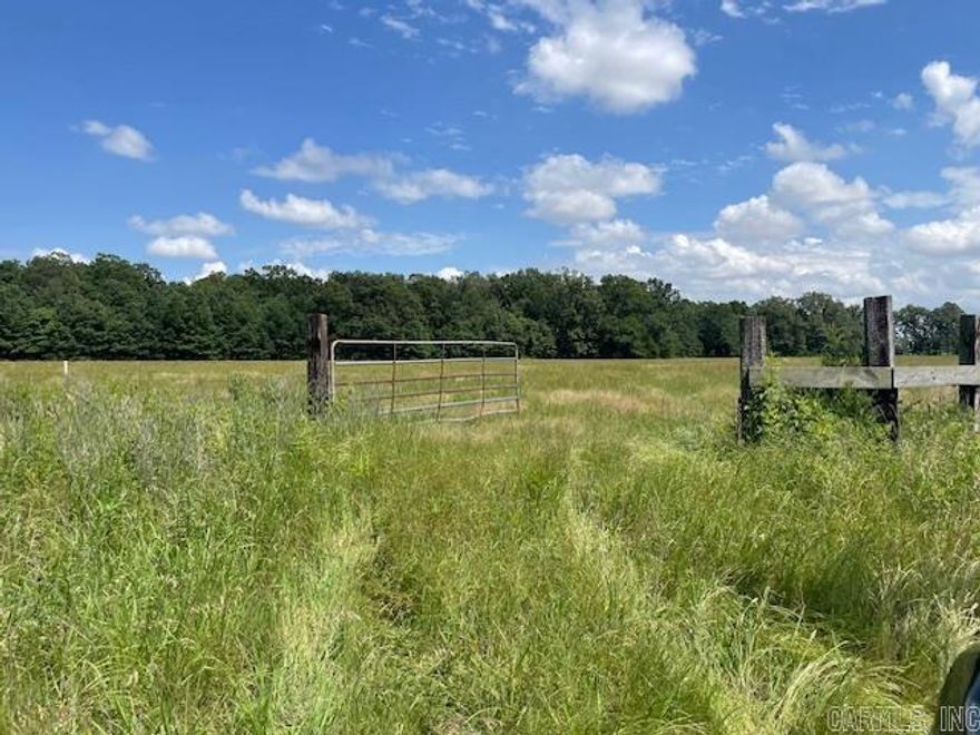 Great country living in a great location. This is a nice tract with approximately 6 acres in open grass and 4 acres in nice timber. Rural water runs in front of the property along New Bethal Rd.  Electric is Entergy. Very level land. A preliminary pert test has been completed and shows positive results. Only 6 or 7 minutes from both Hazen & Carlisle.