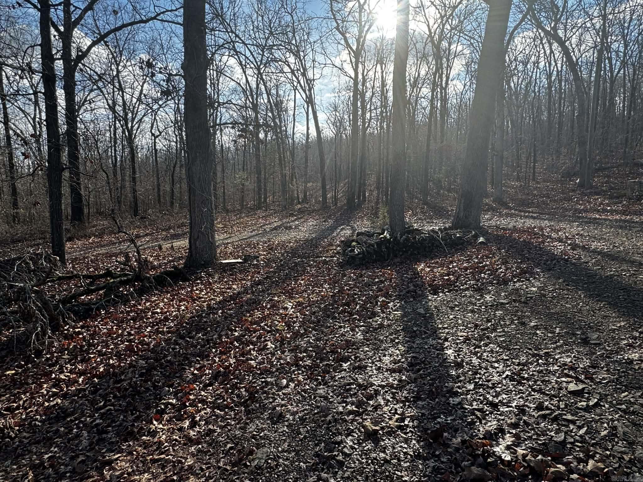 BACKBONE ESTATES - Residential