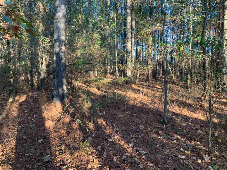 Here it is!!!  5000+ feet of usable red River Frontage with almost perfect bluff(less than 30 feet tall) along entire length!!!  A road has been installed along the river bank allowing for excellent access.  Several pastures are either maintained or require easy cleaning using fire/cutter/mulcher or combination.  Pond access and boat access on the property while river is at normal pool.  Hardwoods permeate the entire property with a forty+- acres of pine ready for a second thinning.  Several creeks drain the property and additional ponds could easily be built for lot development along the river.  All game species represented on this track except for elk. World Class Trout (Rainbow, Brown, Cutthroat) fishing along the river, Turkey, Deer, Bear, Hogs, Beaver, Predator Hunting, and small game are all avaiable on this wonderful tract.  Pangburn is less than 15 minutes with Heber Springs and Searcy Arkansas located less than 30 minutes.  Mature Forrest represent over half the acerage, with pasture that needs to be reclaimed for development opportunities.  Well water is used on this portion of the Old River Road municipal water stop less than a mile from the property.