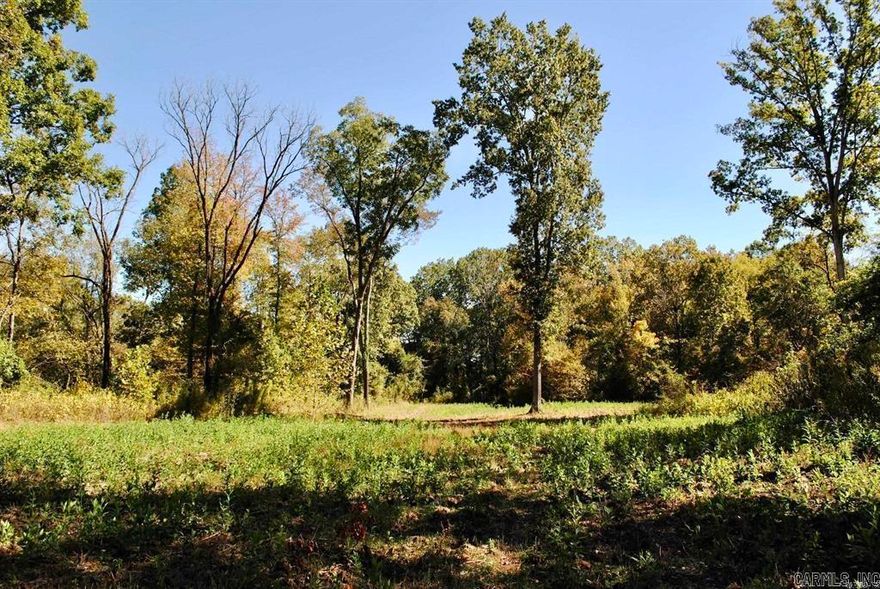 If you are looking for recreational property with an outstanding deer and turkey hunting history, this one deserves a serious look! Featuring nearly ¼ mile of frontage along the scenic Fourche Lafave River, the property also offers excellent fishing opportunities to complement the exceptional hunting. Bordered by the Ouachita National Forest and accessed by a Forest Service road, the property is ideally set up for easy access and outdoor enjoyment. Habitat features include approximately 3 acres of rich, fertile soil currently serving as a highly productive food plot, positioned alongside a healthy mix of scattered acorn-producing hardwoods that provide outstanding wildlife habitat and attract abundant game year after year.