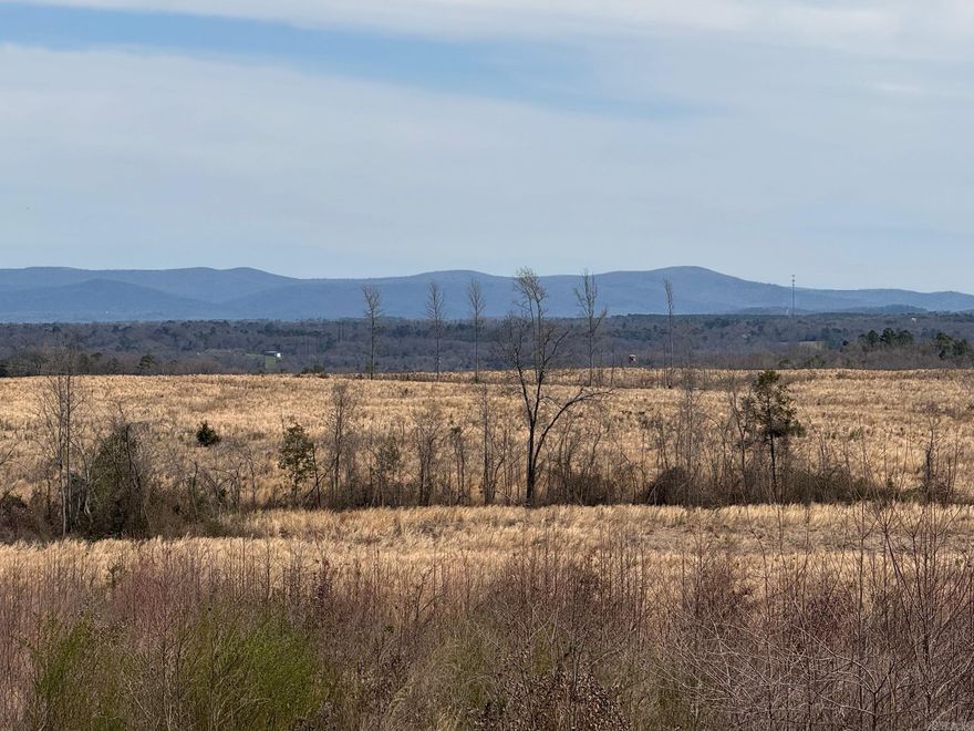 Great Views! Paved road along the south line of the Property.   Large pond. Creek runs through the Property! No Restrictions! Already has a well and several building spots!