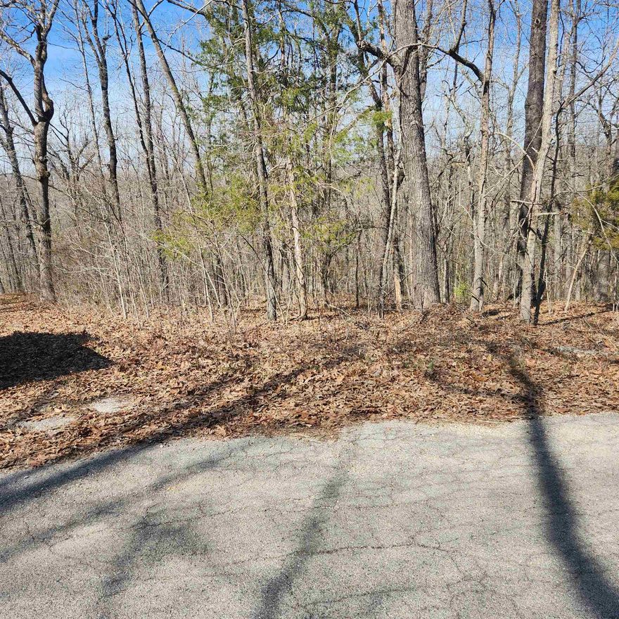 This is a semi-level, corner lot with a gentle downhill slope. Easy access to the 4-lane highway for shopping and dining. This is a nice, wooded lot just waiting for you to come pick the spot you want to build your dream home on. With property ownership comes access to all the amenities of Cherokee Village. 7 Lakes, 2 Golf courses, 2 recreational centers and don't forget about the beautiful Southfork River that meanders right through Cherokee Village.