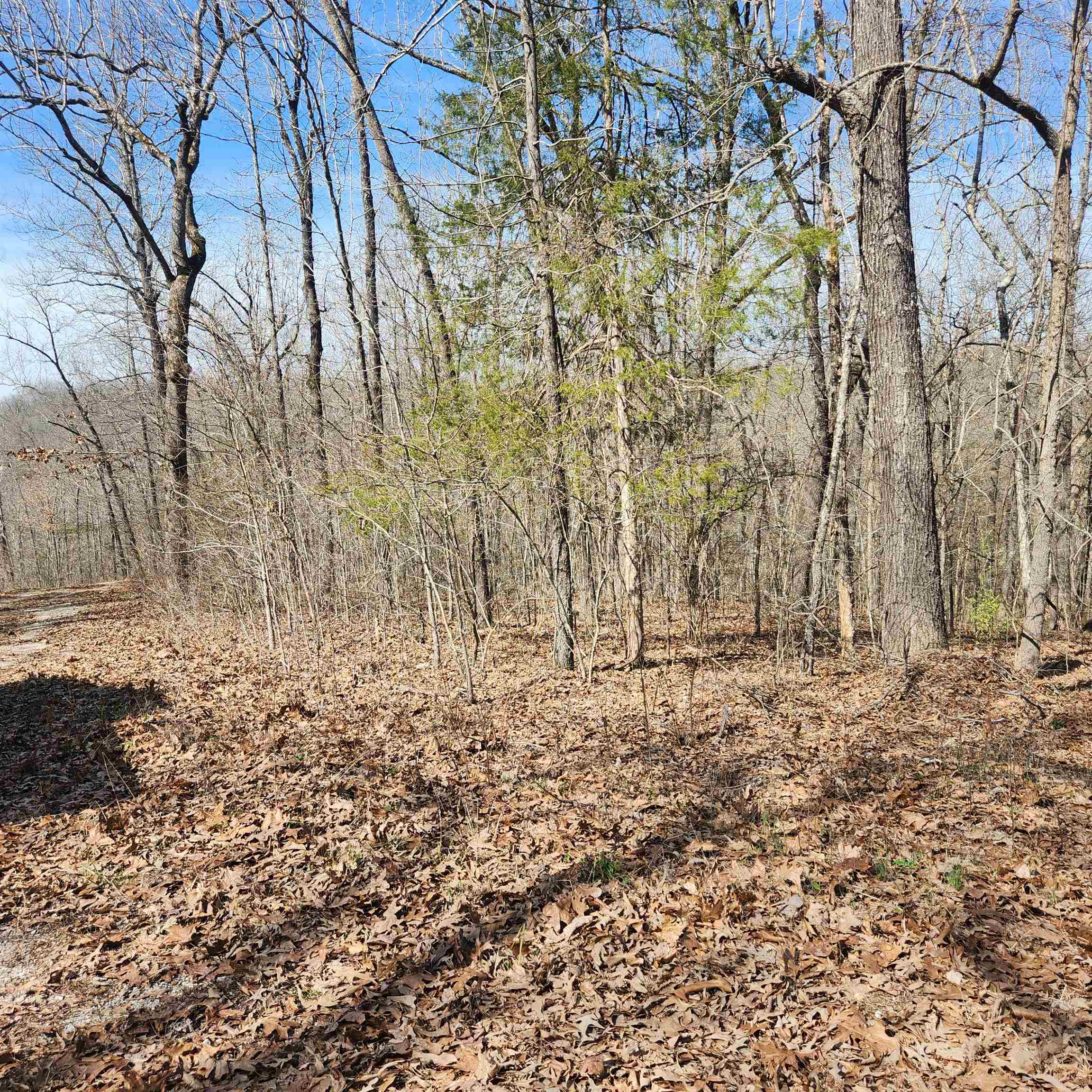 Chickasaw Fourth - Land