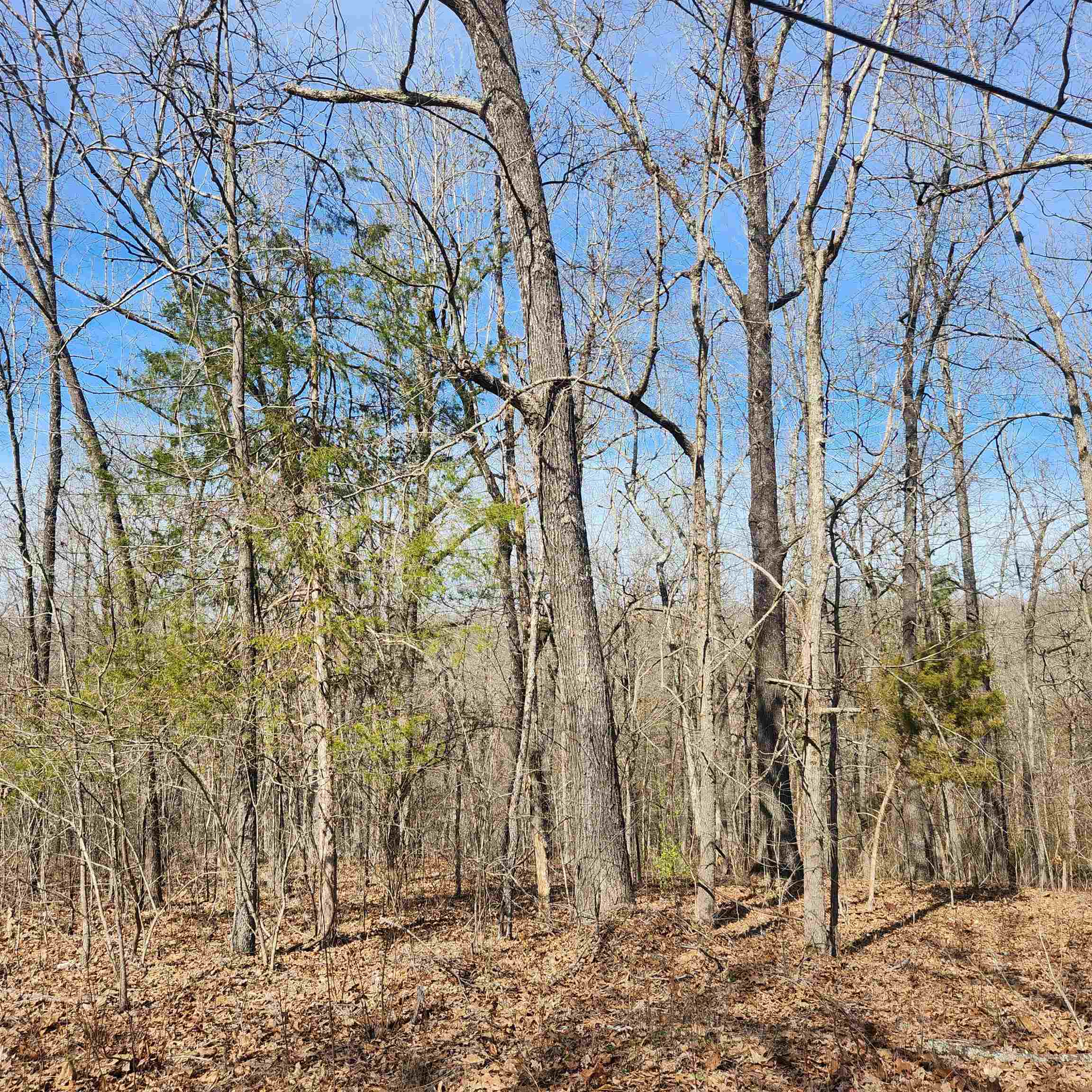 Chickasaw Fourth - Land