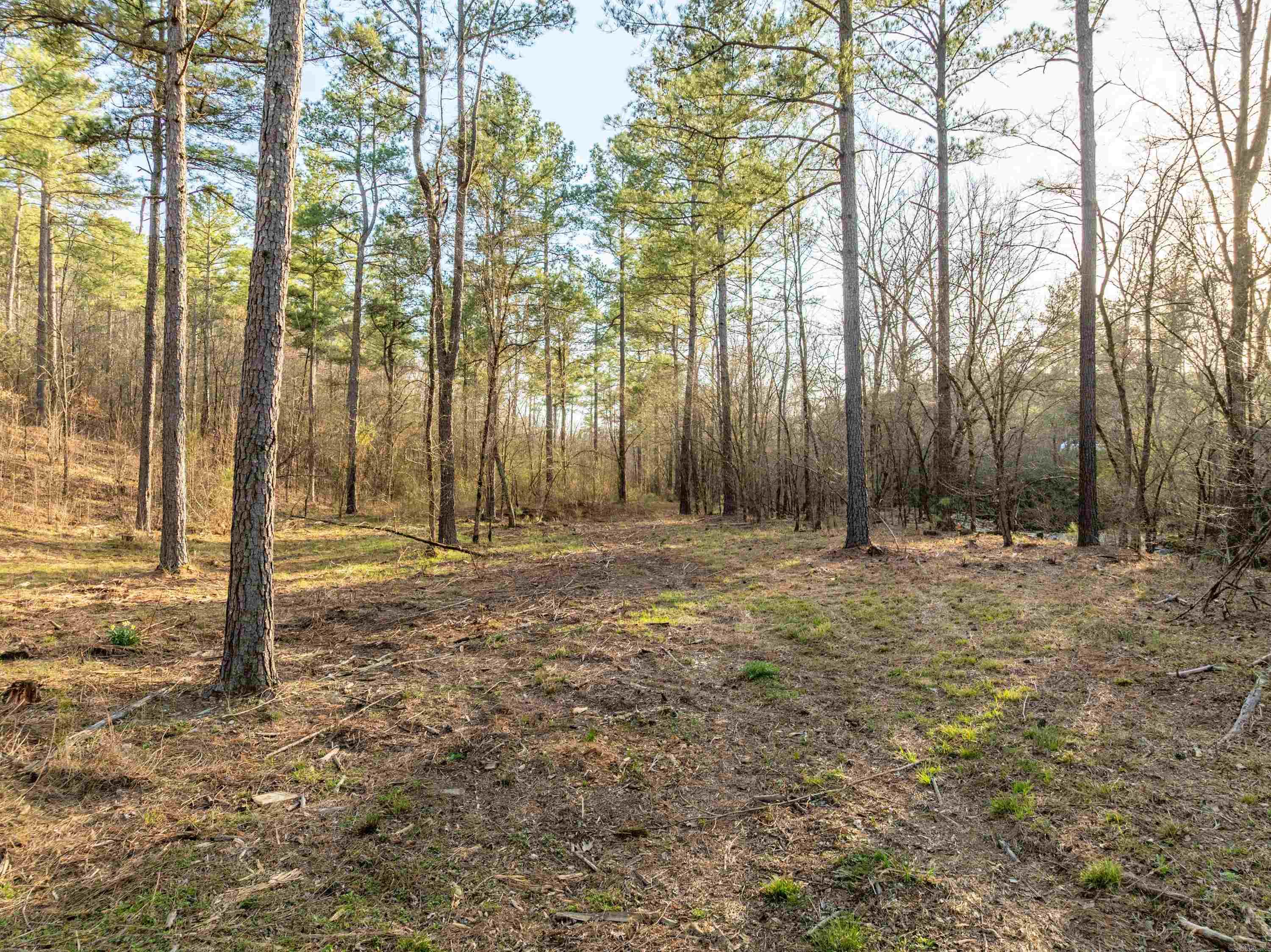 Not in Subdivision - Land