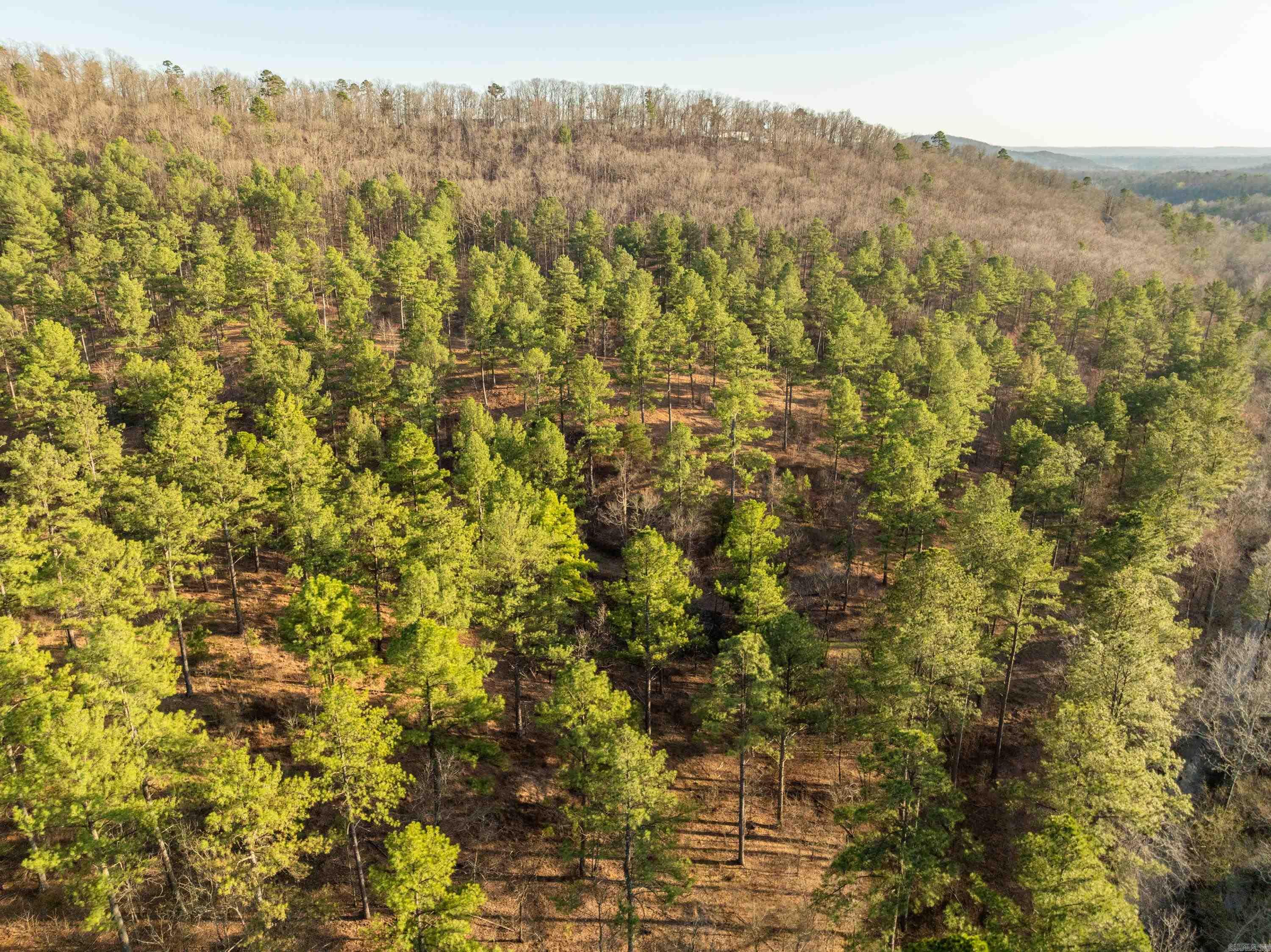 Not in Subdivision - Land