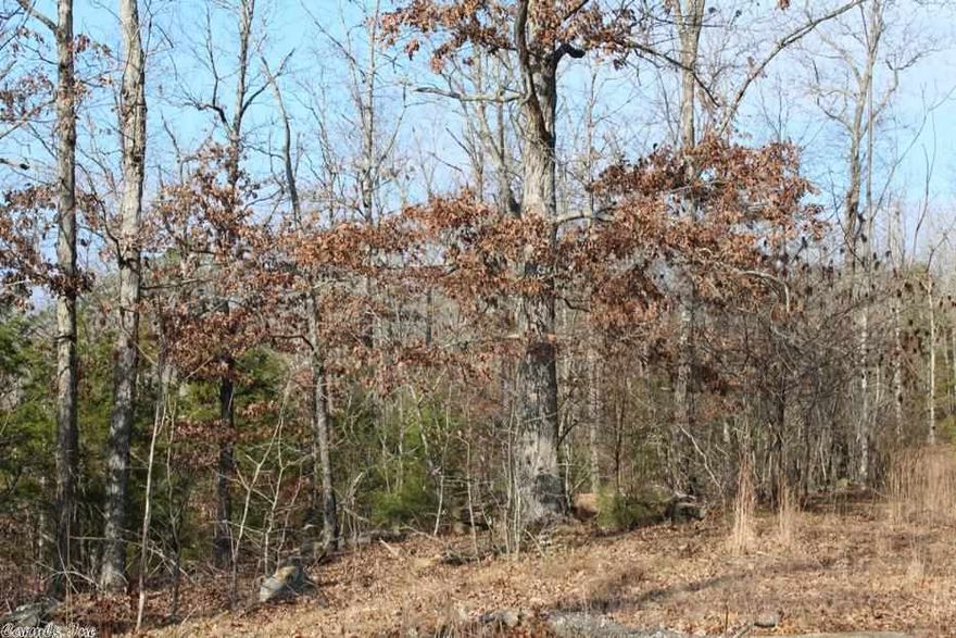 No. 01391 ACREAGE FOR SALE MOUNTAIN VIEW ARKANSAS 33 wooded acres only 7 miles form downtown Mountain View Arkansas. Power, water, phone, and DSL are available. Start construction on your dream home today! This property would also make an excellent hunting escape and is only seconds from a paved road. $49,500.
