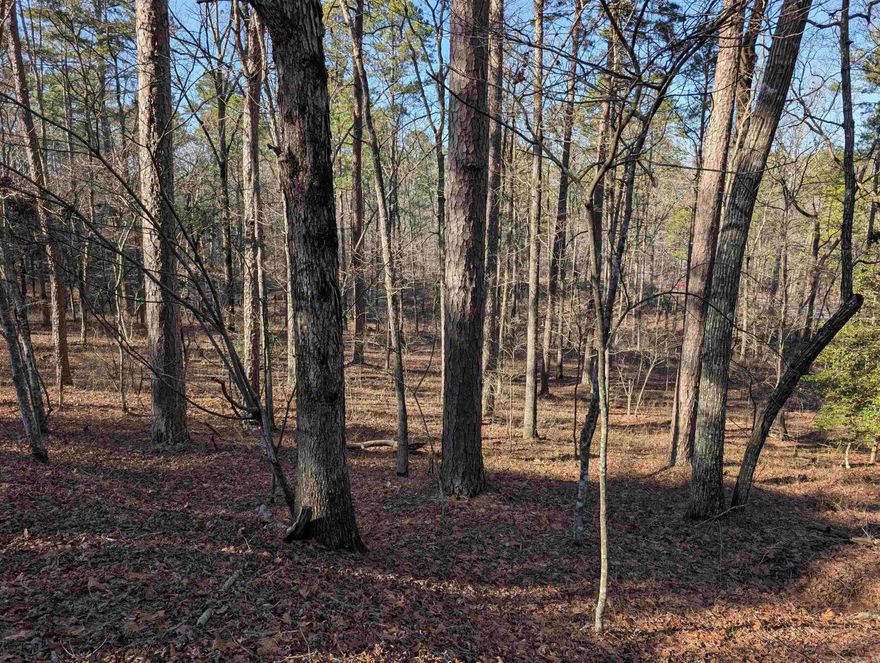 BUILD YOUR OWN HOME OR INVESTMENT PROPERTY on this lot in desirable Hot Springs Village!  Hot Springs Village offers an affordable cost of living, stunning natural beauty, and a wealth of recreational opportunities, including 11 lakes and 9 golf courses. It's prime location near Hot Springs and Little Rock provides easy access to city amenities, while its gated community ensures safety with dedicated police and fire services. Spanning 26,000 acres in the Ouachita Mountains, it’s an ideal place to live, work, and play.  COME AND SEE!