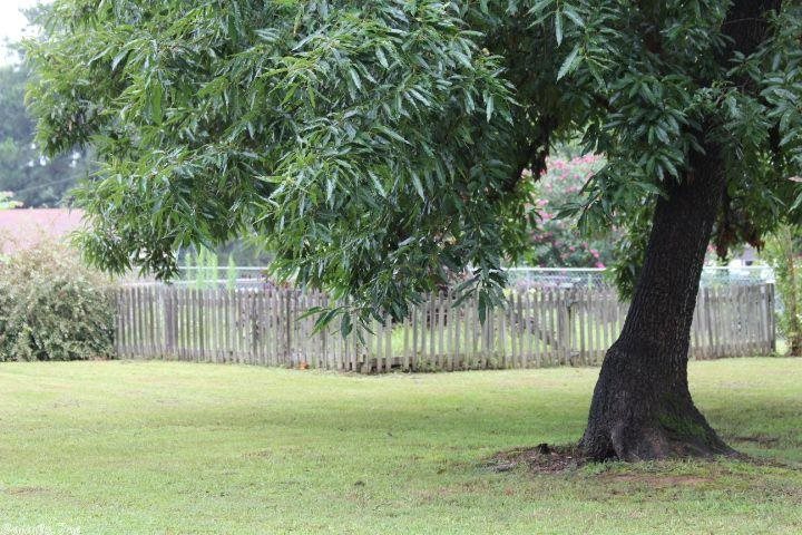 Morning Sun Estates - Residential