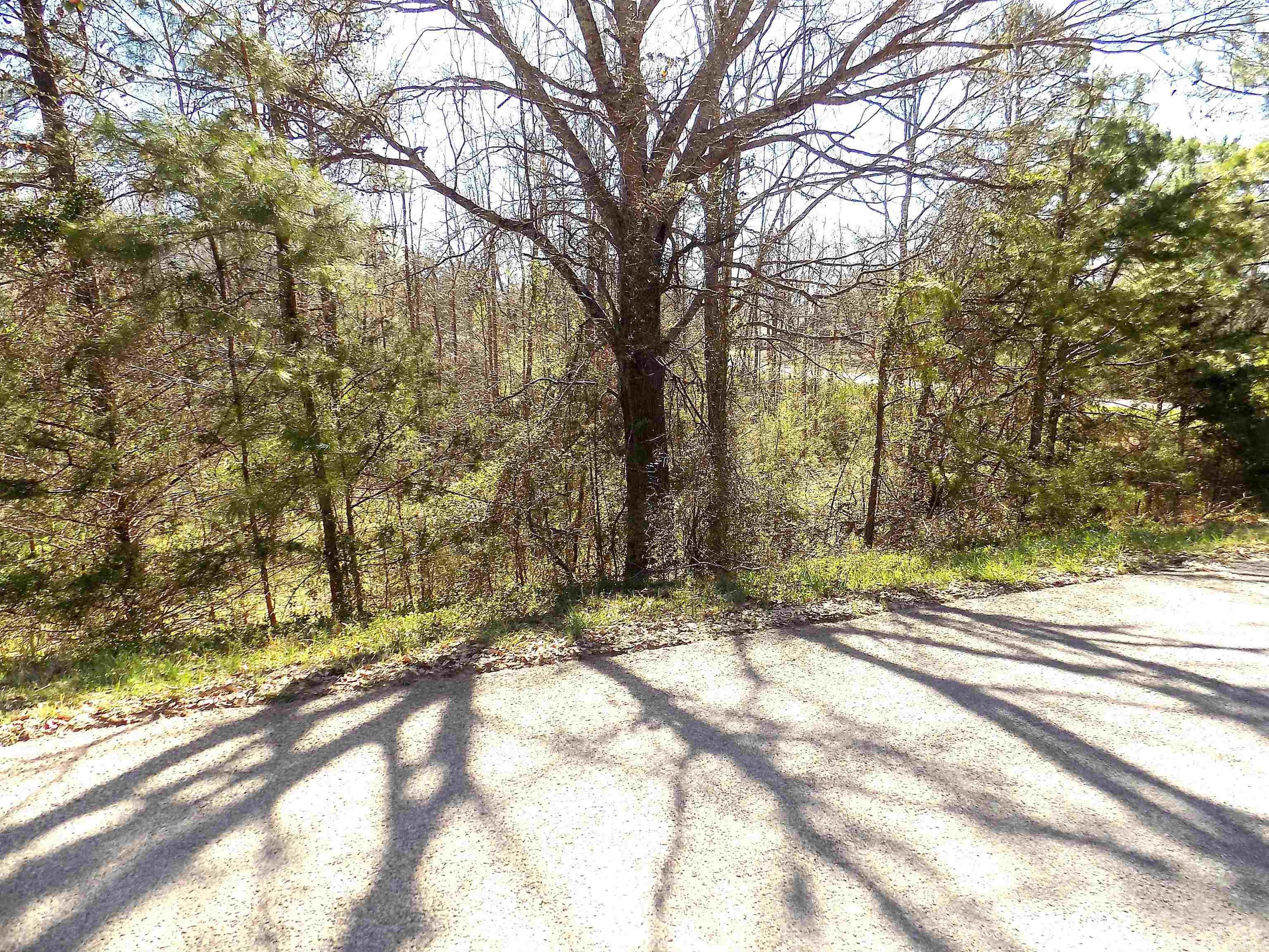 Corner Lot with 2.3 acres and paved road. Fenced for horses. Restricted no mobile homes.