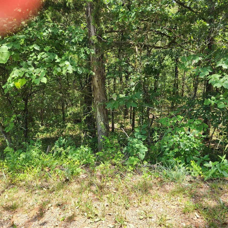 Wonderful and wooded lot in the heart of Cherokee Village. Secluded and away from it all. Buy this lot and pick your spot to build your dream home or just a getaway cabin. With ownership of this lot you have access to all the amenities of Cherokee Village such as the lakes and golf courses and Thunderbird Center and swimming pool, mini golf, parks, hiking trails and don't forget about the beautiful Southfork River.