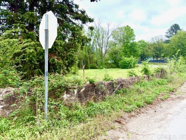 Bona - Commercial Sale