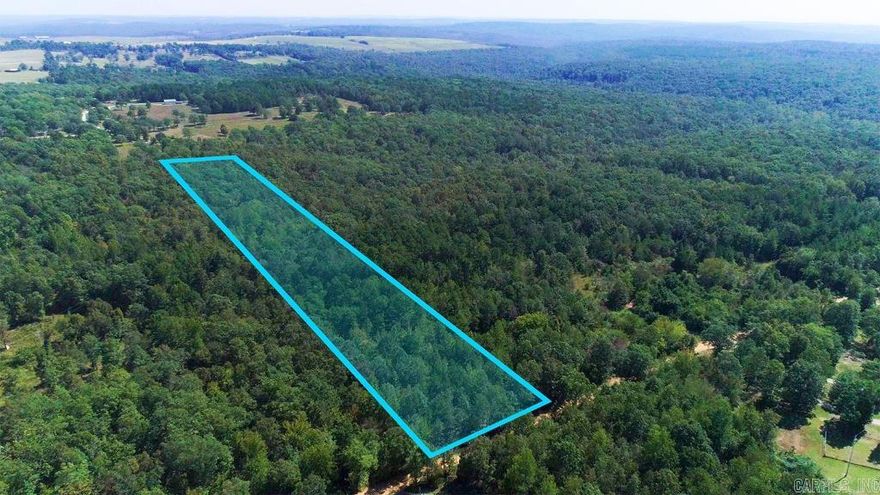 These beautiful five acres in Arkansas Ozark Mountains await your imagination! This is a buildable parcel with electricity and city water available. It is heavily wooded off of a quiet road and has no restrictions. It is just 20 minutes southwest of Mountain View and half an hour to Greers Ferry Lake, a pristine body of water and recreational area that offers boating, hunting, fishing, and hiking. Property taxes in 2022 were $26.80 total.