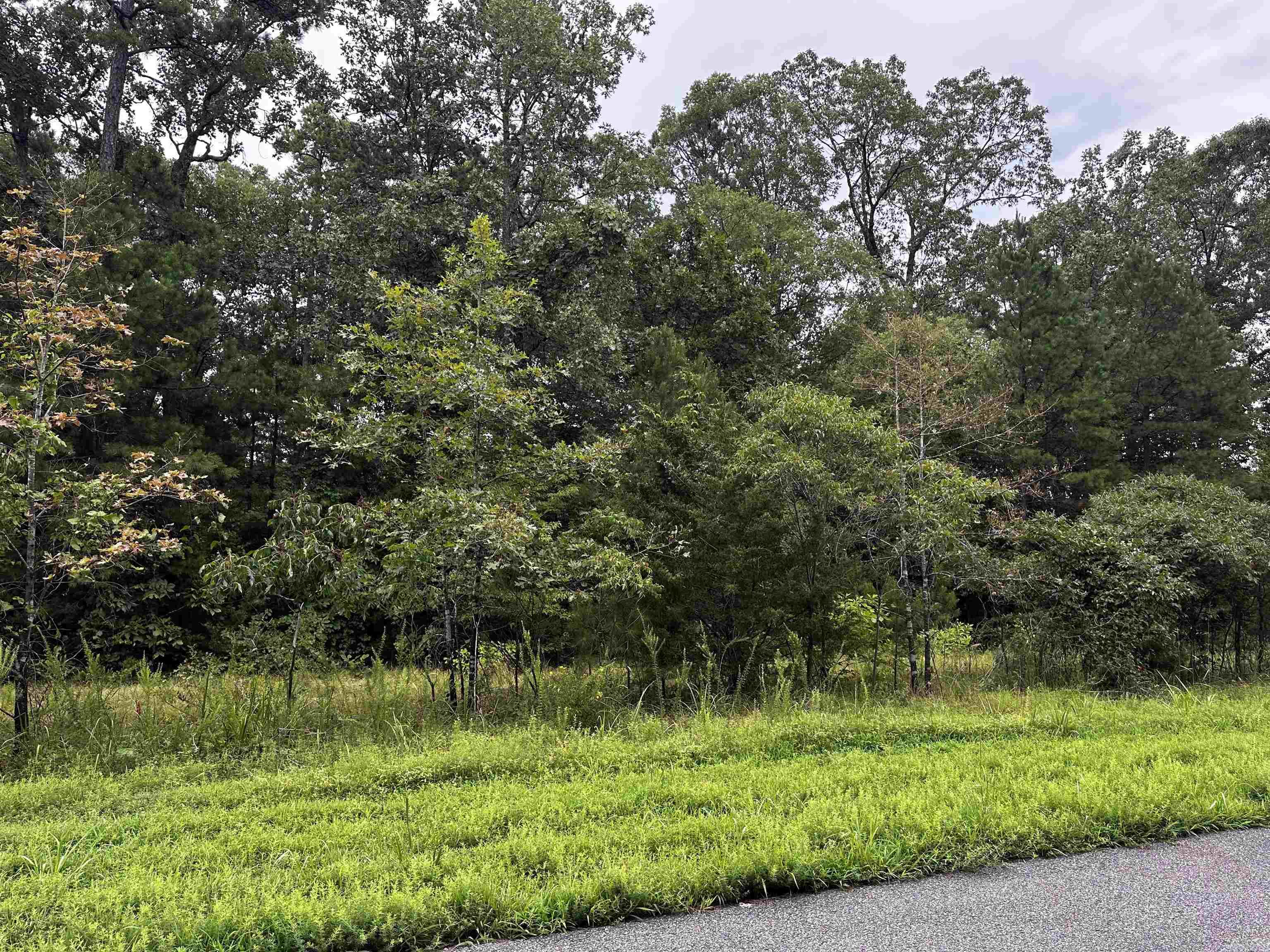Great lot for building.Nice location. Utilities are underground. Mineral rights do not convey.