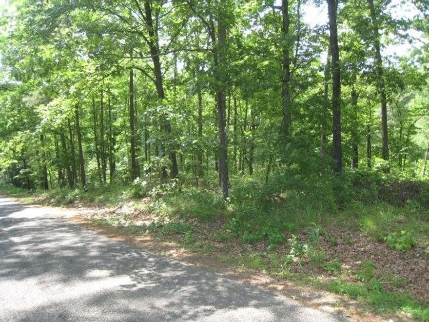 The possibilities are endless with these 3 acres on beautiful Lake Hamilton. Situated at the end of the bay you can build your dream oasis with room to grow or develop the land with a multi family structure. Survey available in the office. Motivated Seller!! Entergy will approve a boat ramp with boardwalk.