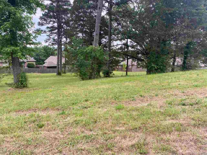 One of Searcy's most private neighborhoods, Valley Court is tucked away off of Country Club Road.  Just a short ride to the Searcy Country Club golf course, shopping, schools and many more amenities.  Schedule your showing today and start drawing the plans for your dream home in this wonderful, quiet neighborhood on the west side of Searcy! Could potentially be a double lot as the lot next door is available for sale as well!