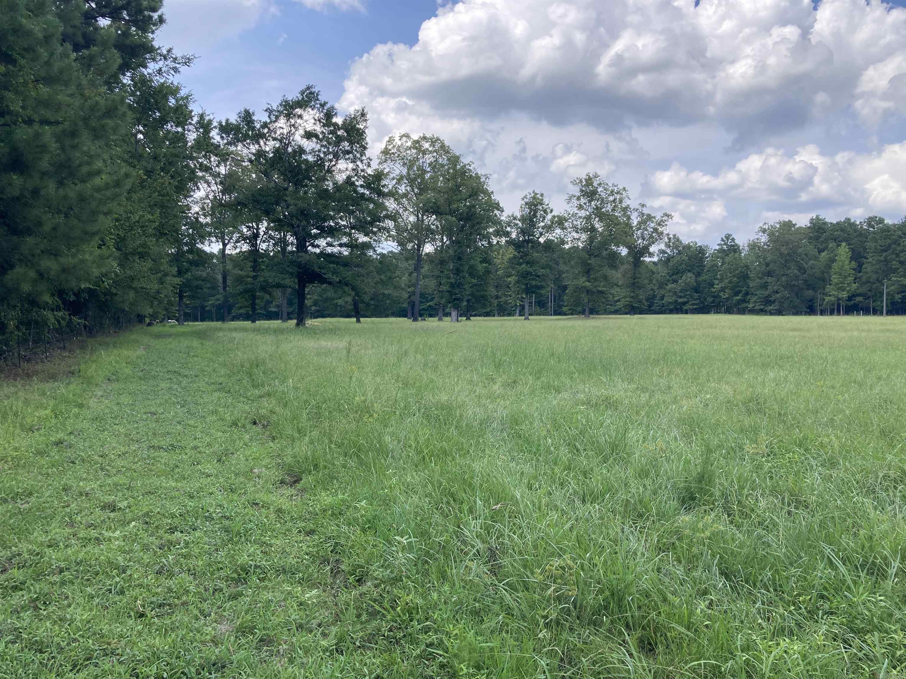 Mustang Ridge - Land