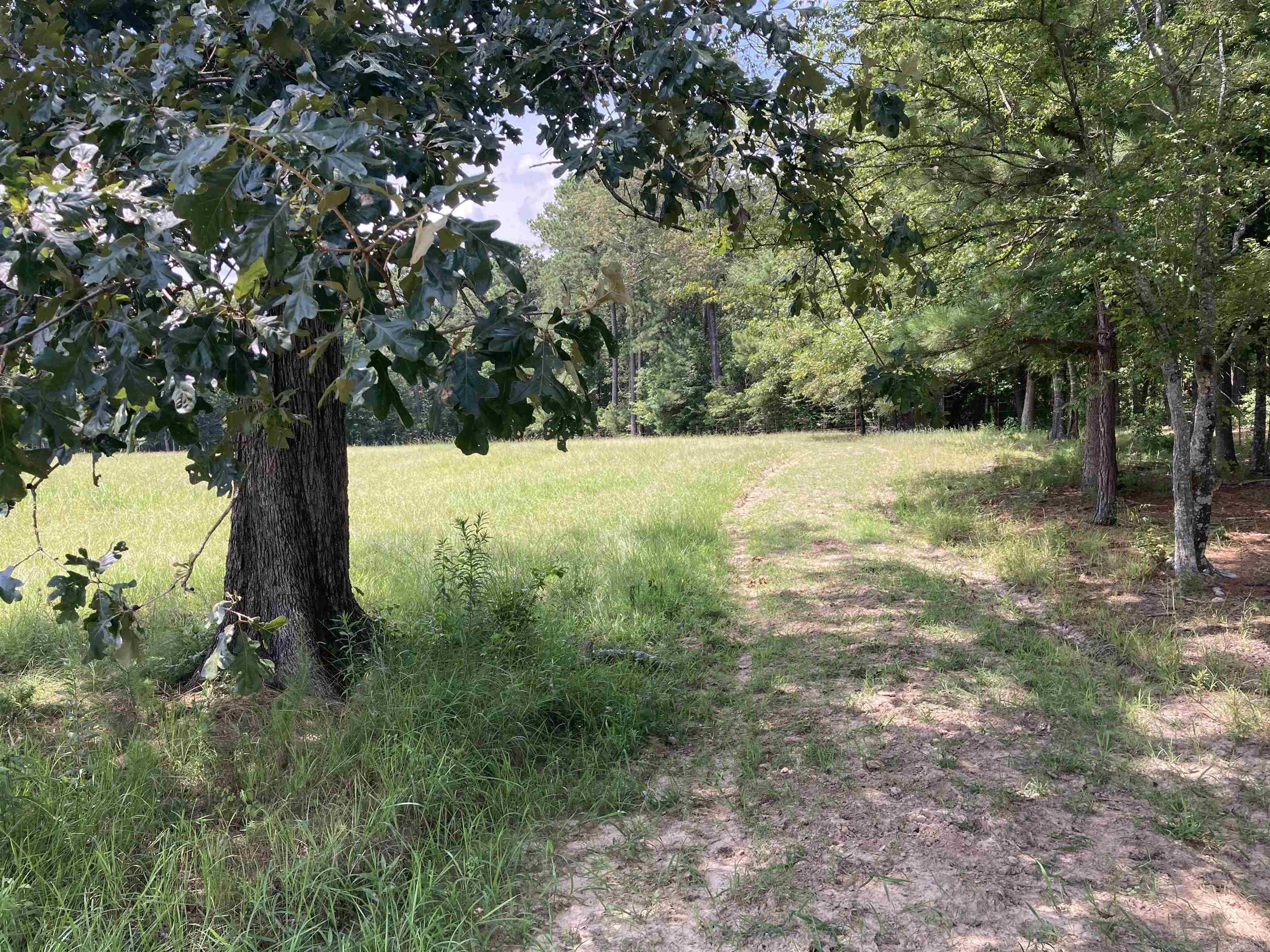 Mustang Ridge - Land