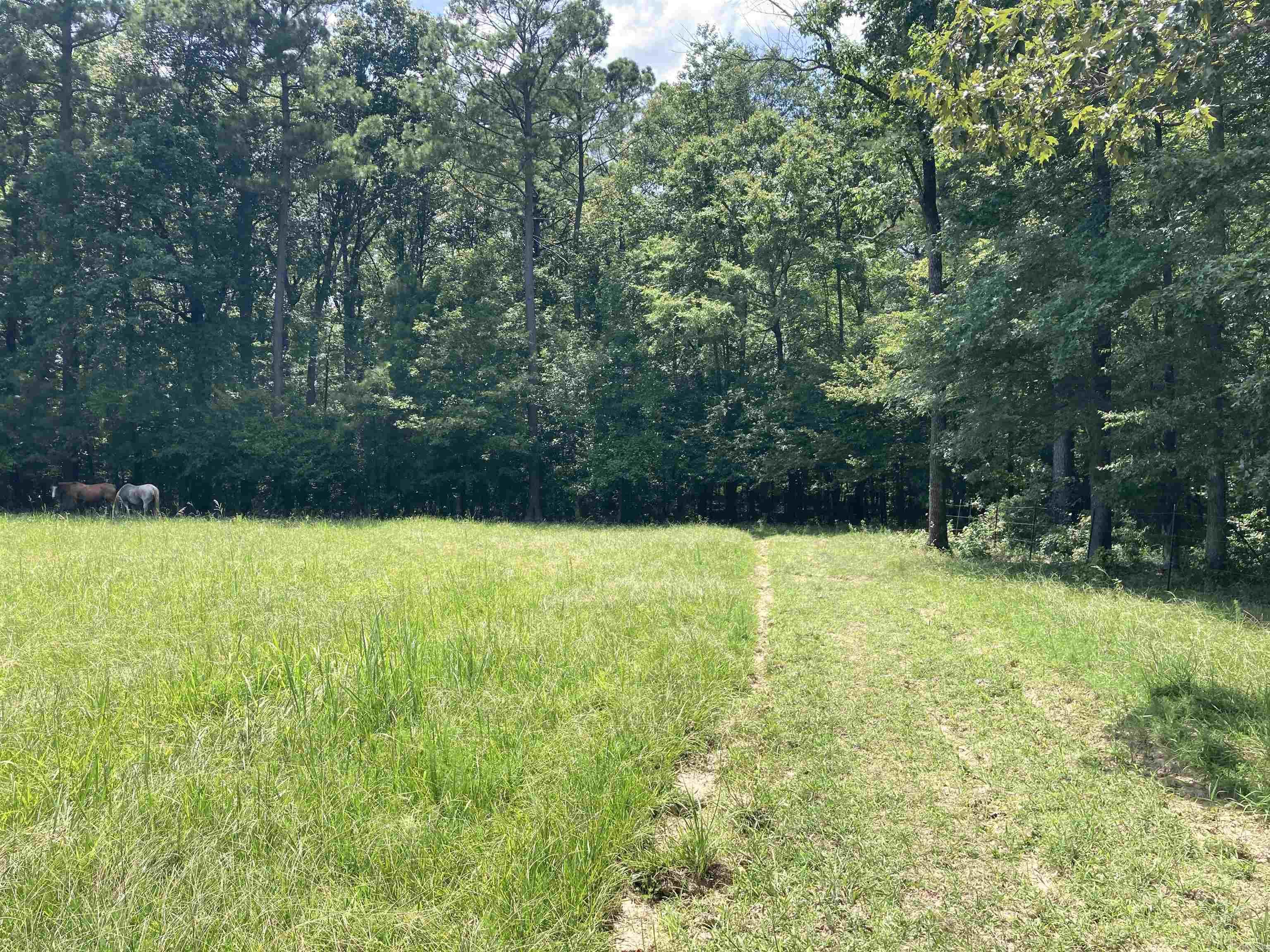 Mustang Ridge - Land