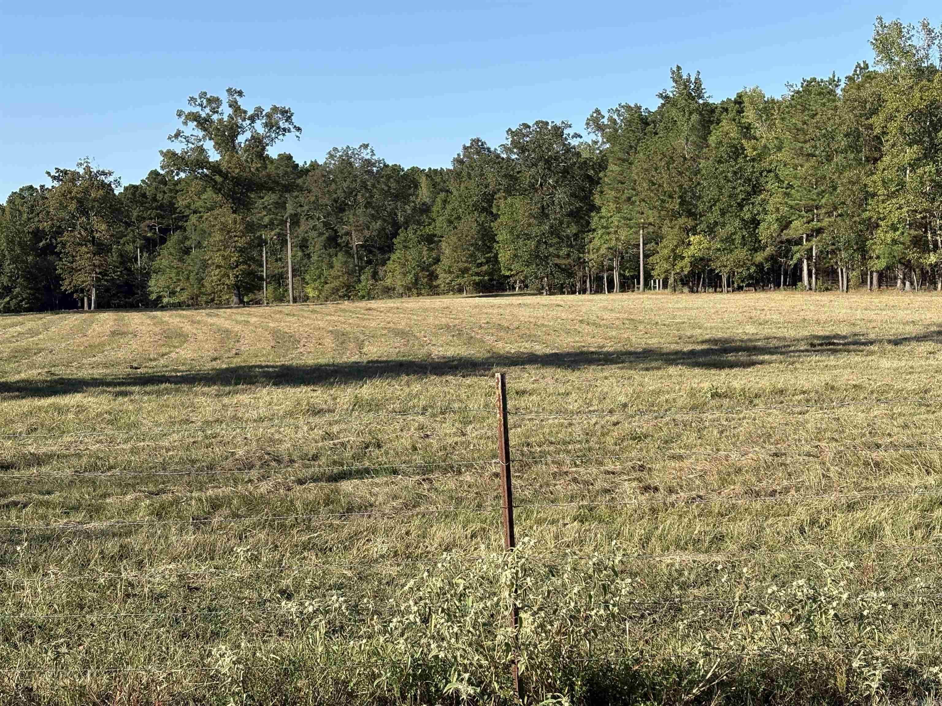 Mustang Ridge - Land