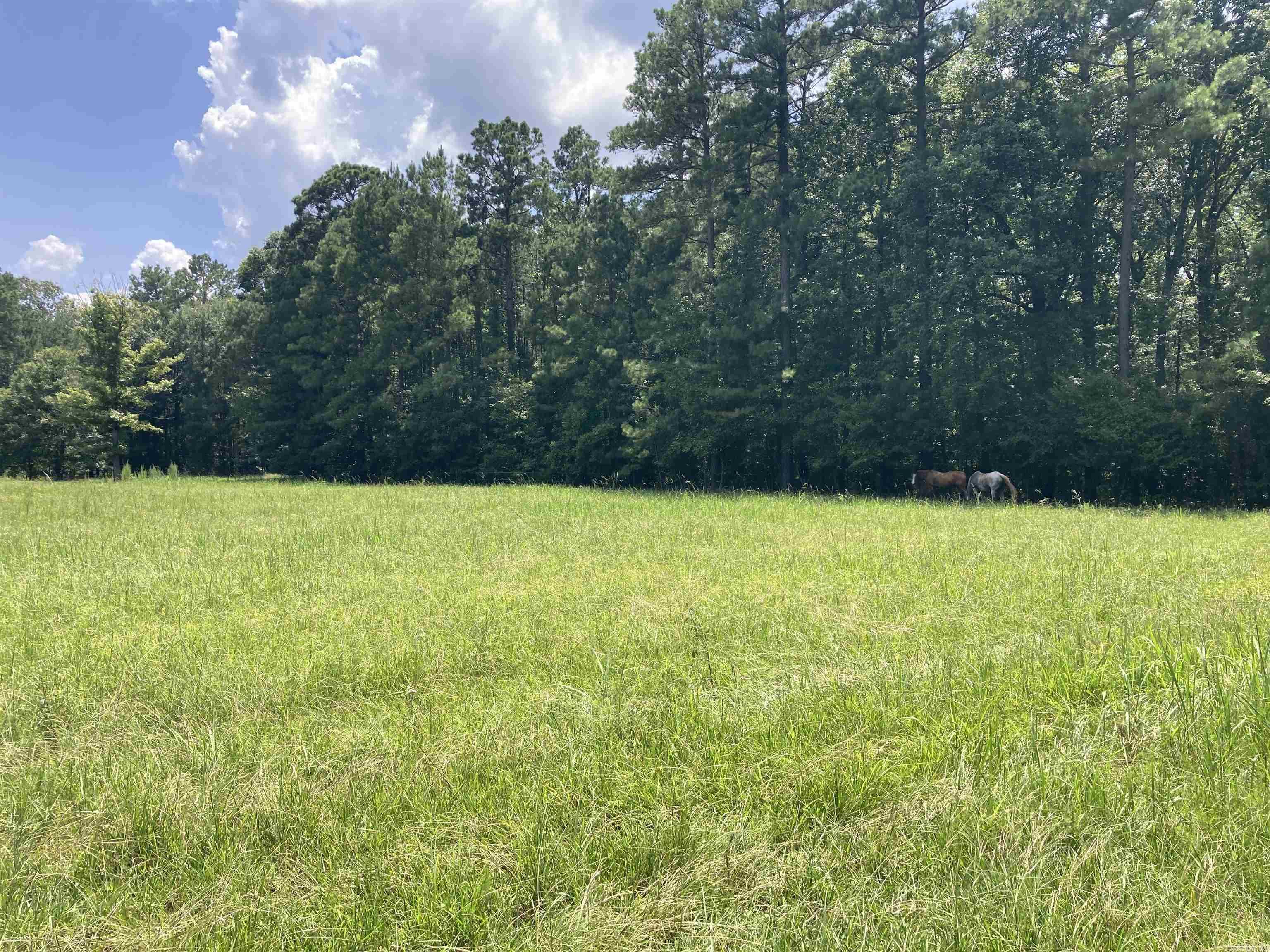 Mustang Ridge - Land