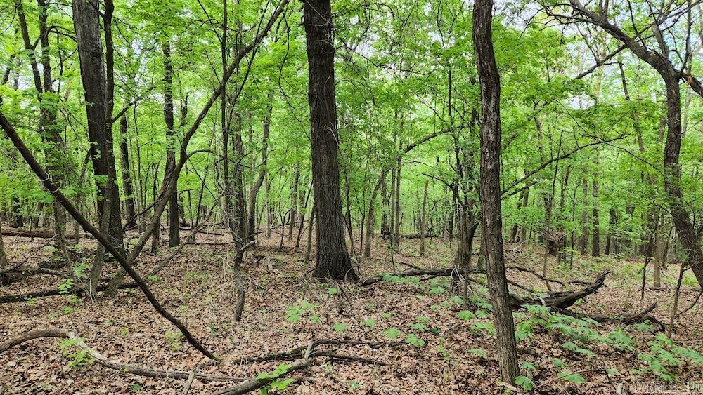 Not in Subdivision - Land