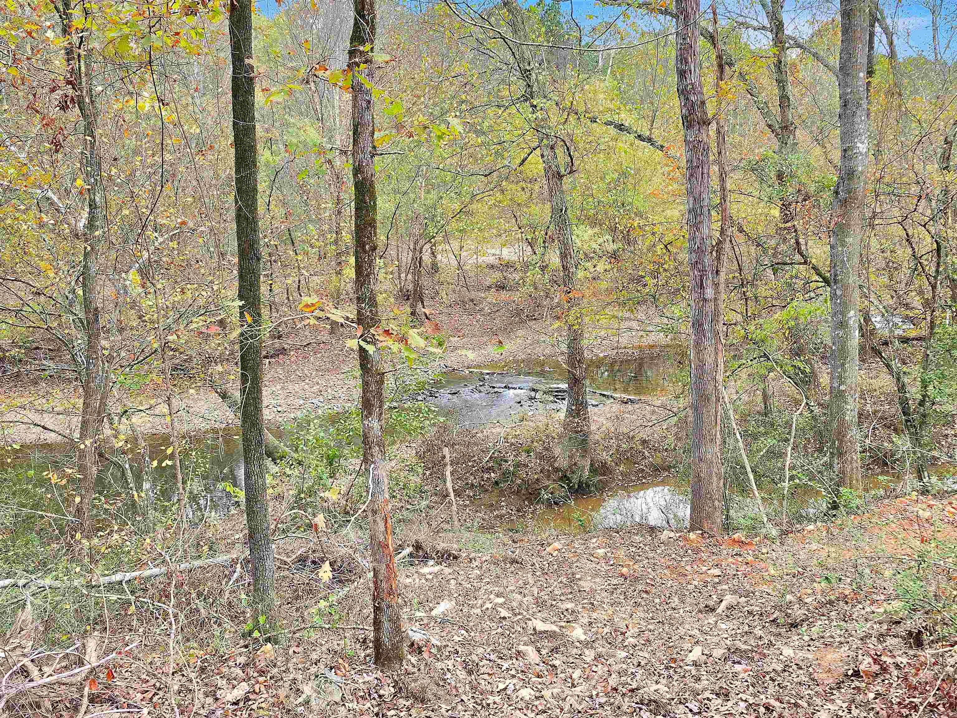2.26 Acres on Little Mazarn Creek. Lake Hamilton School District. Developed.