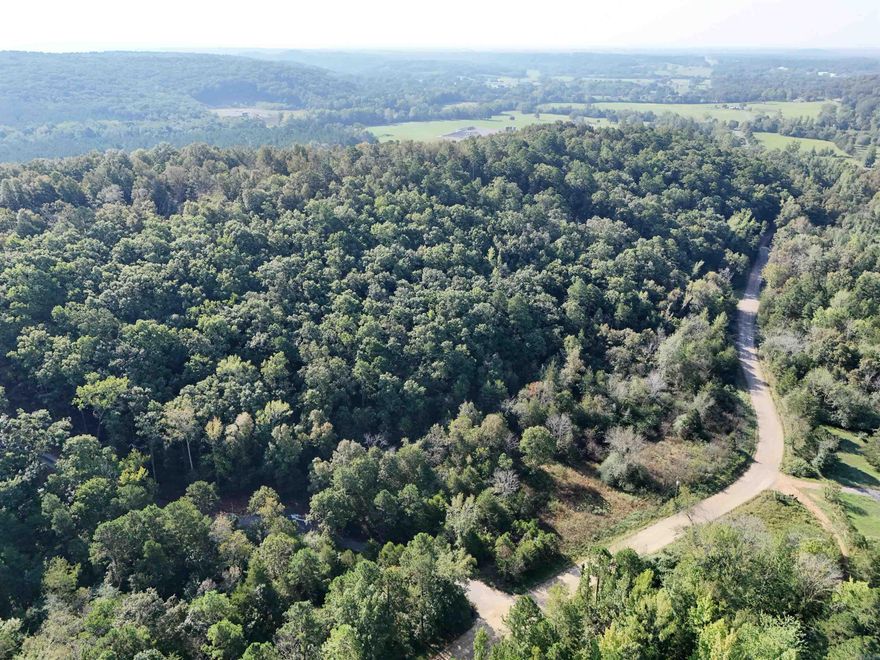 8.98 Acres to build your dream home, or use as hunting land! This property has a wet weather creek, is wooded, has several level areas, and has power and water at the road. Be sure to click the video links to see the aerial drone footage.