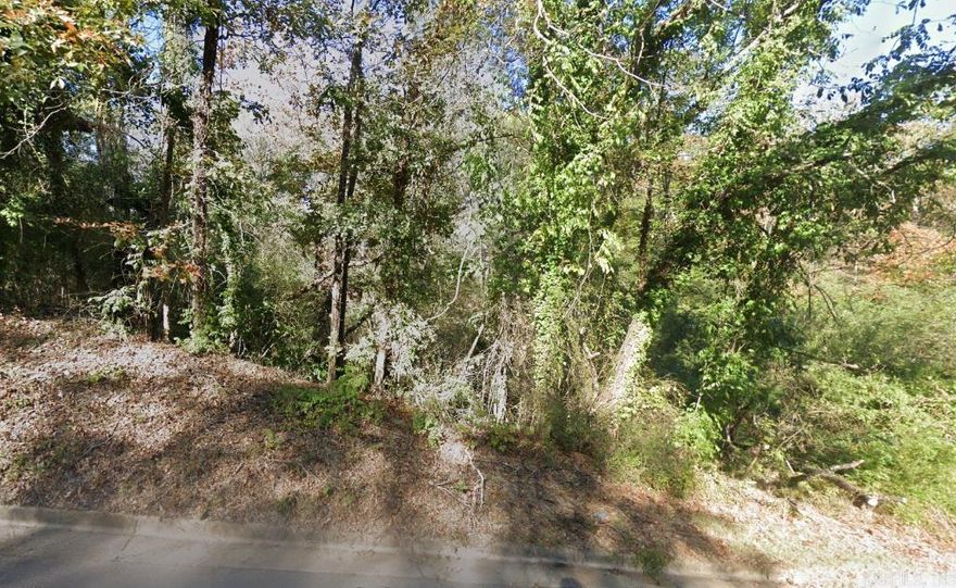 Prime 0.32-acre city lot on Montana St, just 5 minutes to downtown Hot Springs. Close to Walmart, hospitals, banks, dining, and daily essentials. Ideal for building, investment, or long-term hold. Strong demand area with excellent access and convenience.  Utilities nearby (buyer to verify).  Zoning: (R4) Medium/High Density Residential District Owner financing available No RV living allowed.