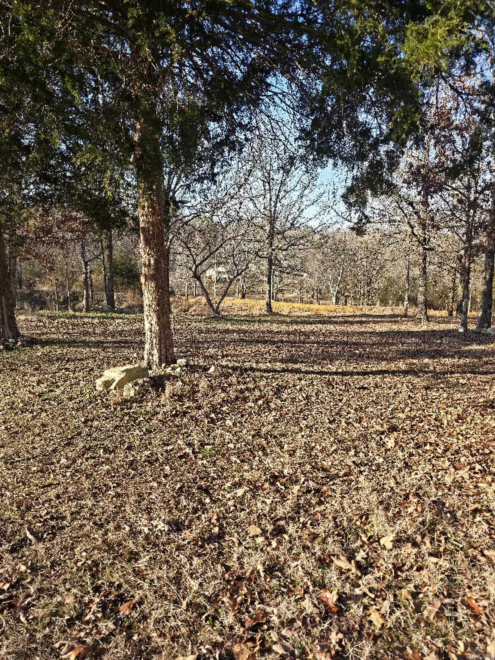 Oxford - Residential