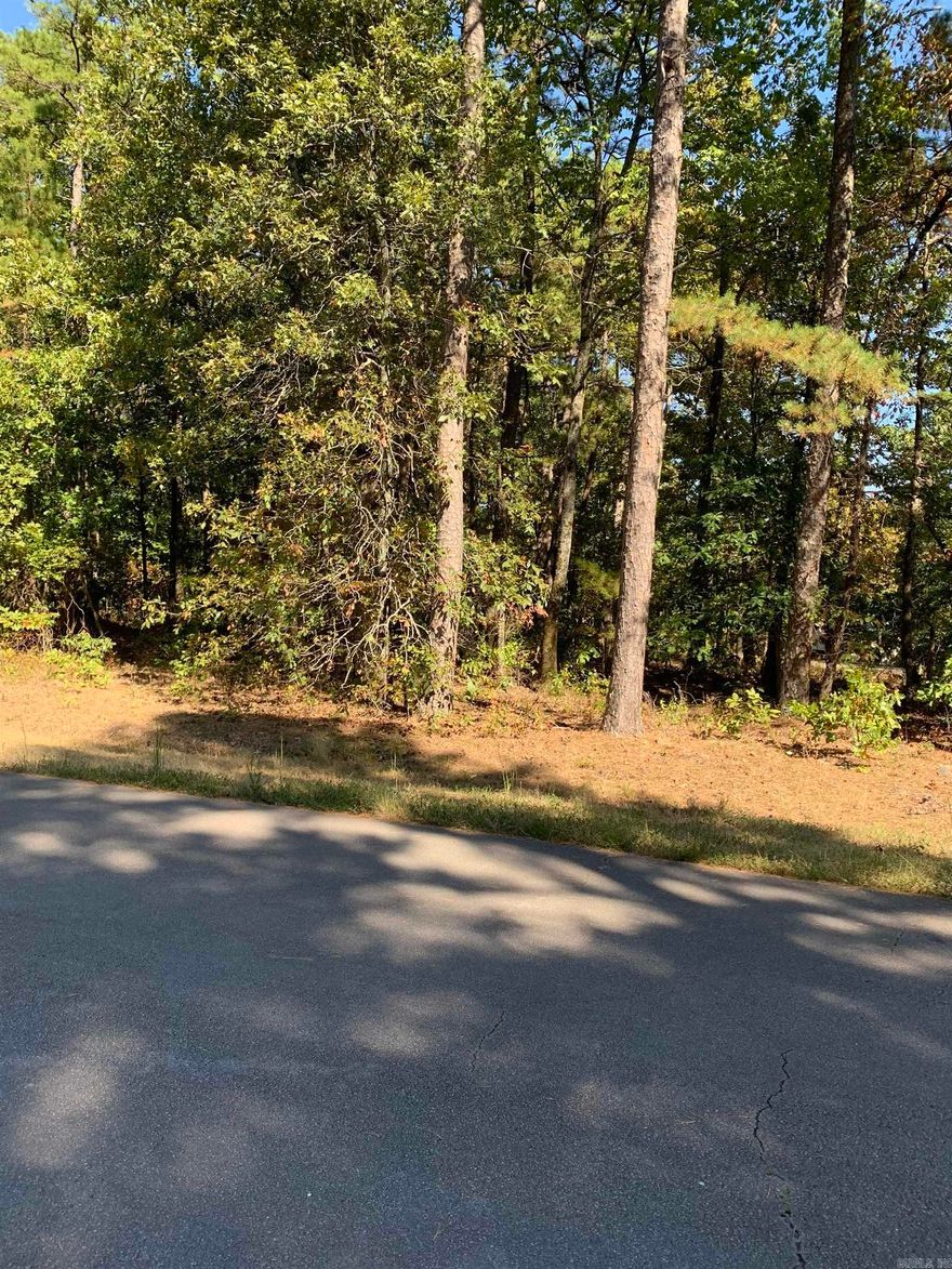 Beautiful building lot in Hot Springs Village. Make this one yours and begin enjoying all the Village amenities.   New buyers to the Village have a $300.00 buy in fee payable to the POA at closing.