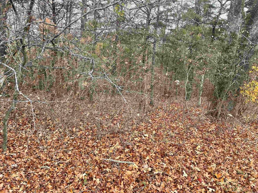 Pine timber no Improvements but a driveway