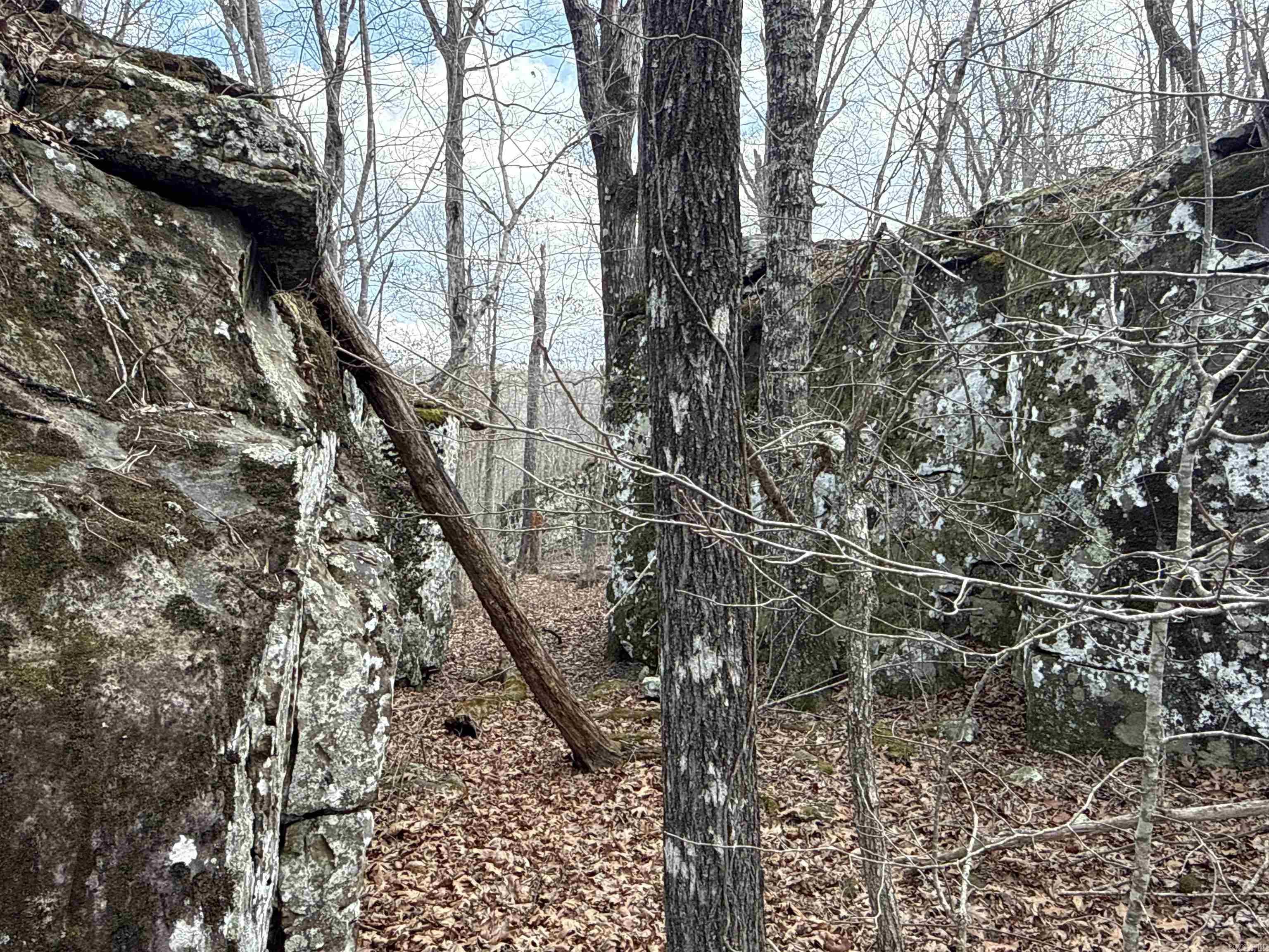 Metes & Bounds - Land